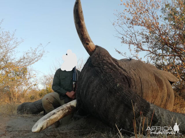 Elephant Hunt Botswana