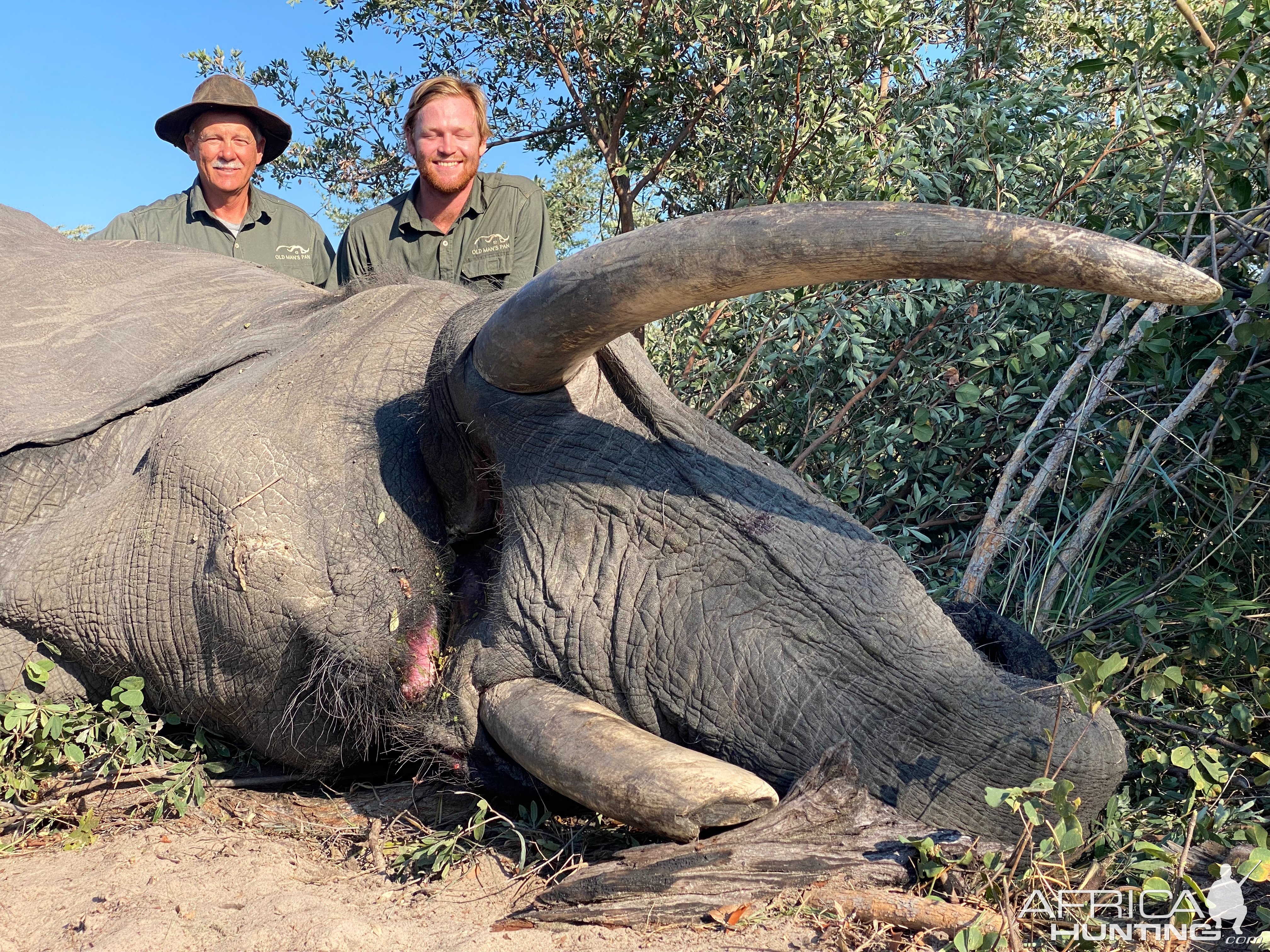 Elephant Hunt Botswana