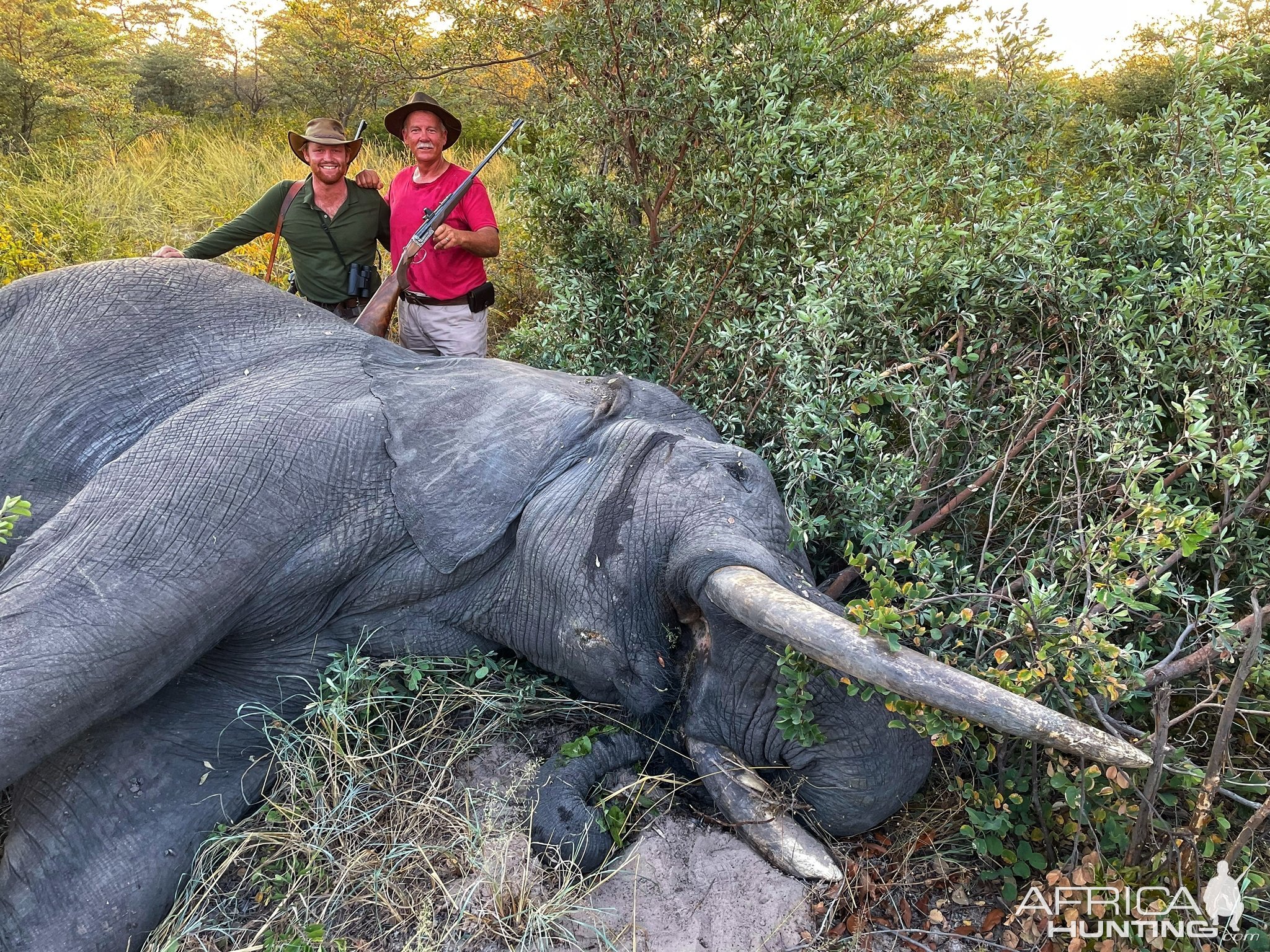 Elephant Hunt Botswana