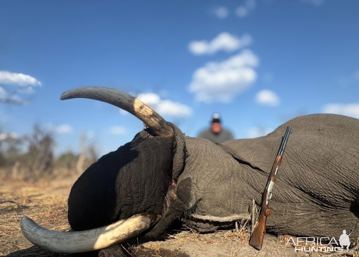 Elephant Hunt Botswana