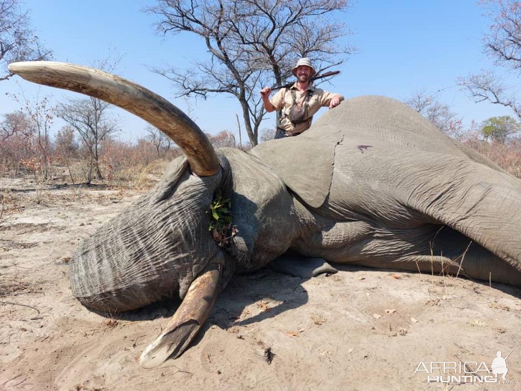 Elephant Hunt Bwabwata West Namibia