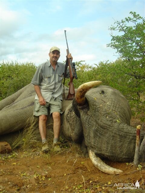 Elephant hunt in South Africa