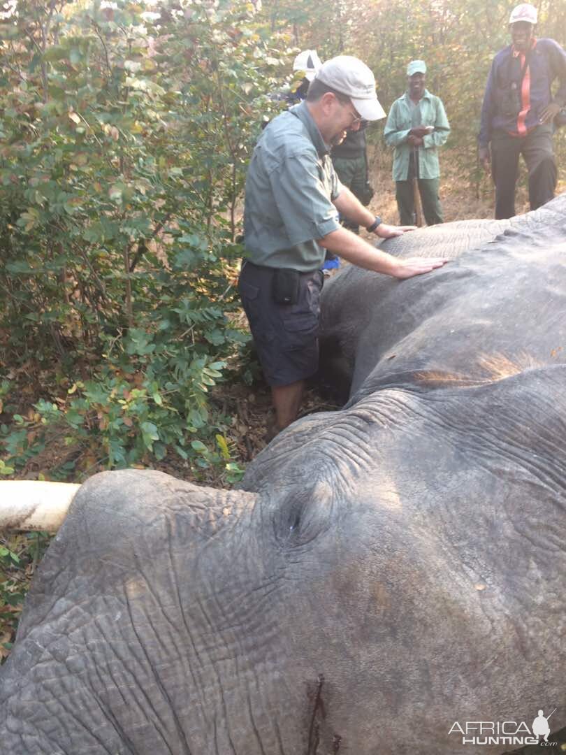 Elephant Hunt in Zimbabwe