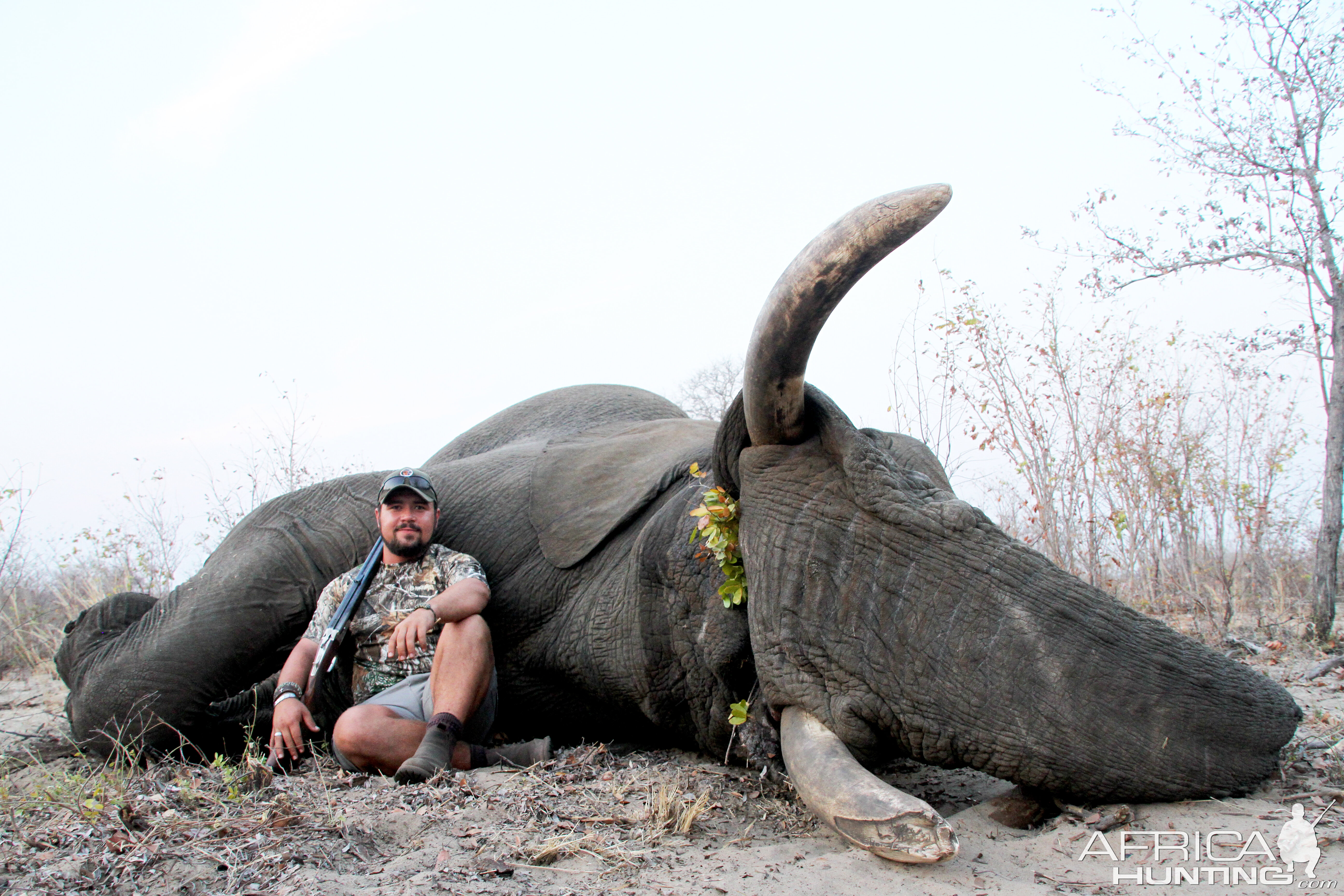 Elephant Hunt  Namibia