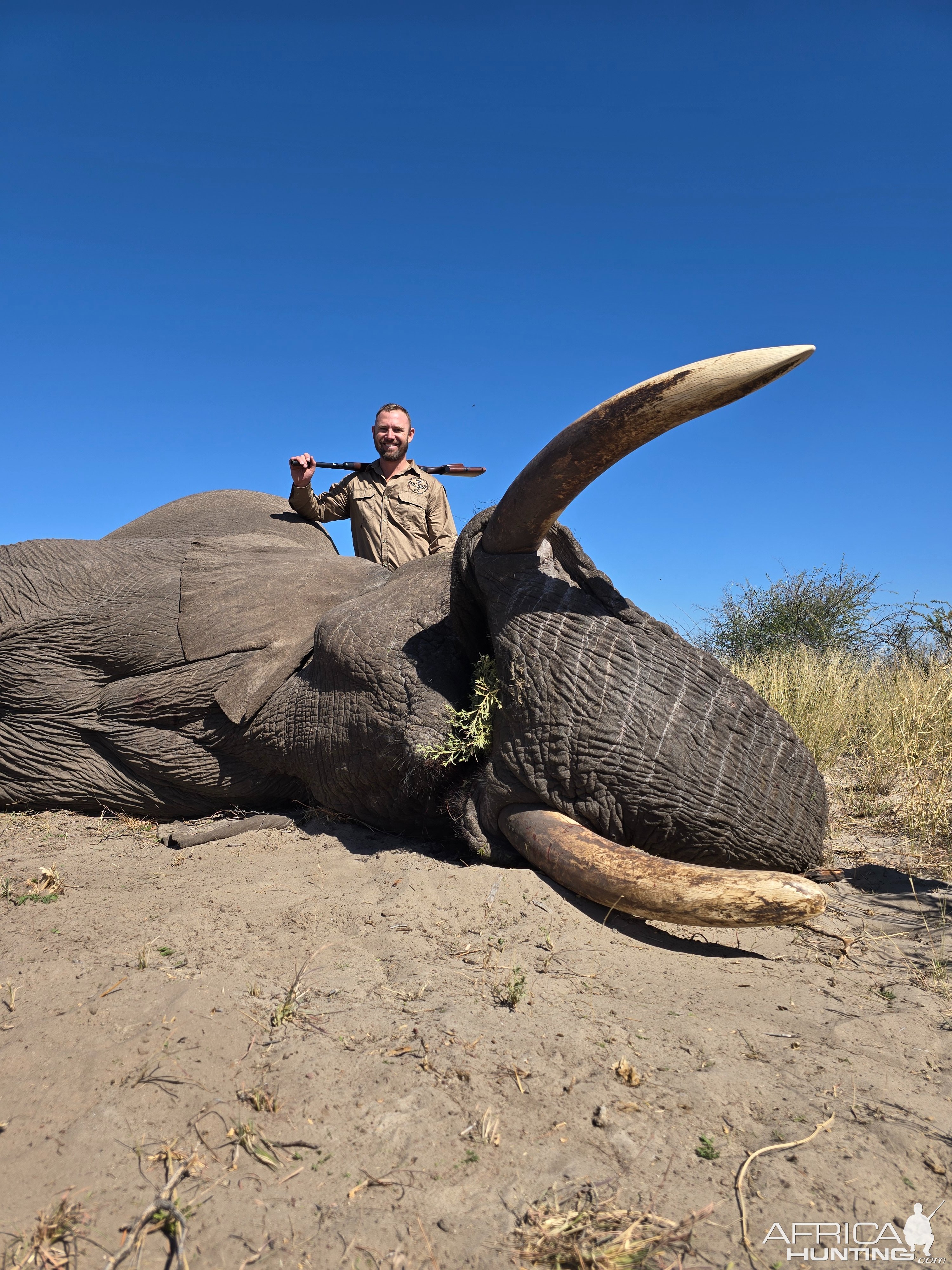 Elephant Hunt Namibia