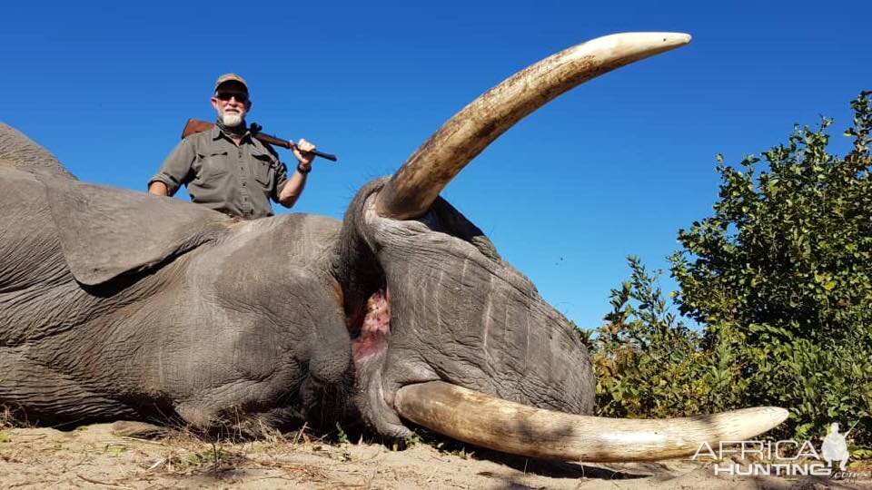 Elephant Hunt Namibia