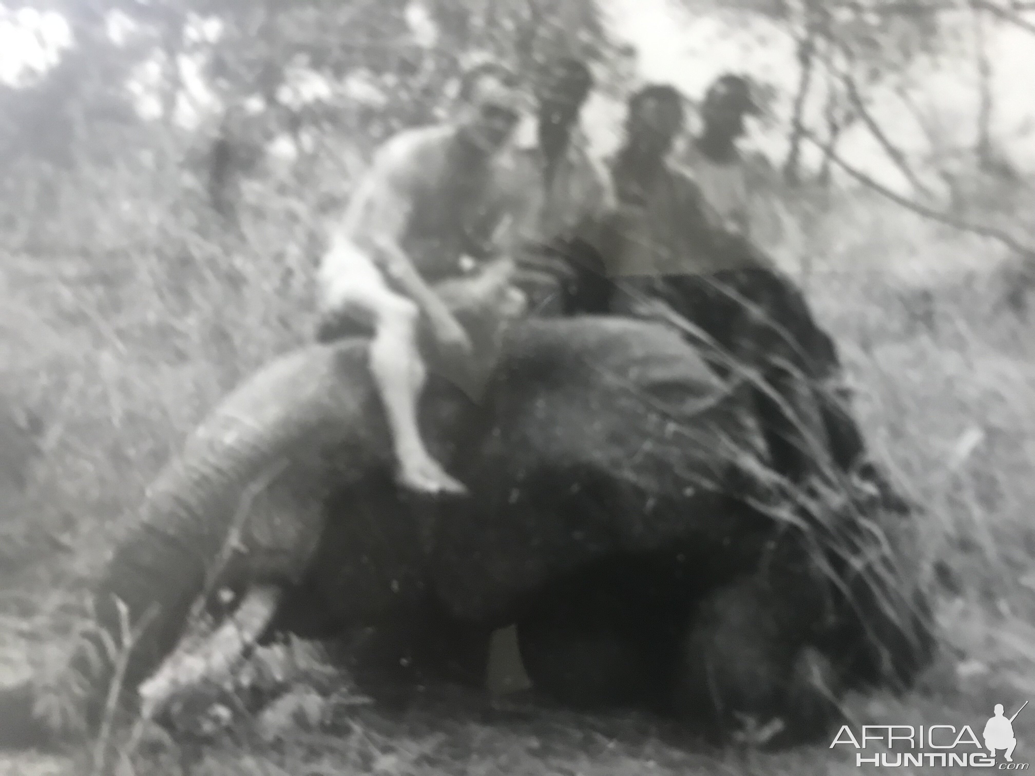 Elephant Hunt Republic of Upper Volta 1972