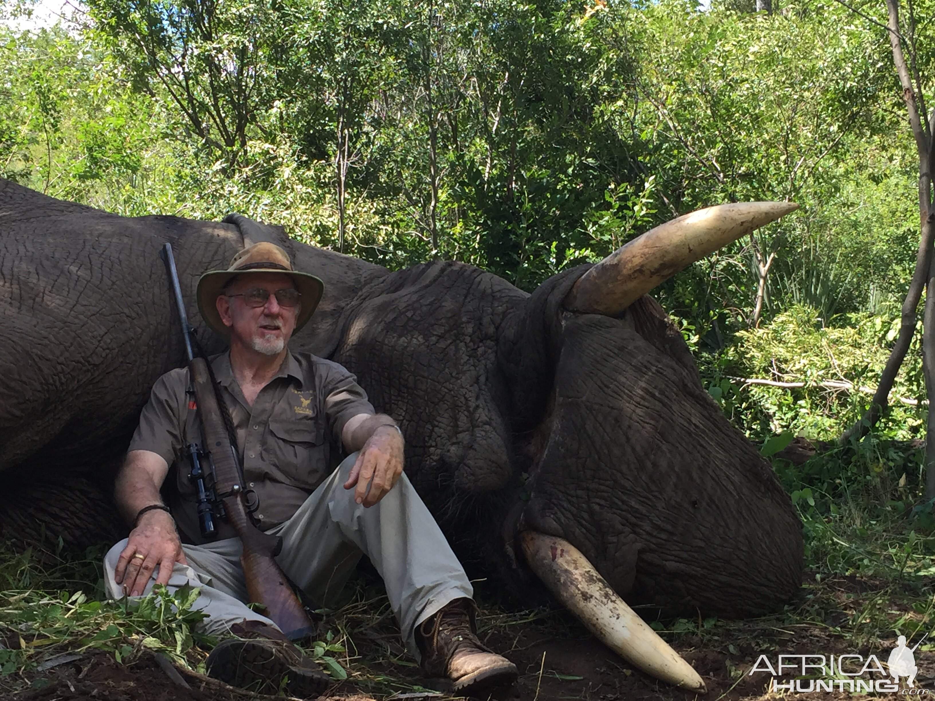 Elephant Hunt Zimbabwe