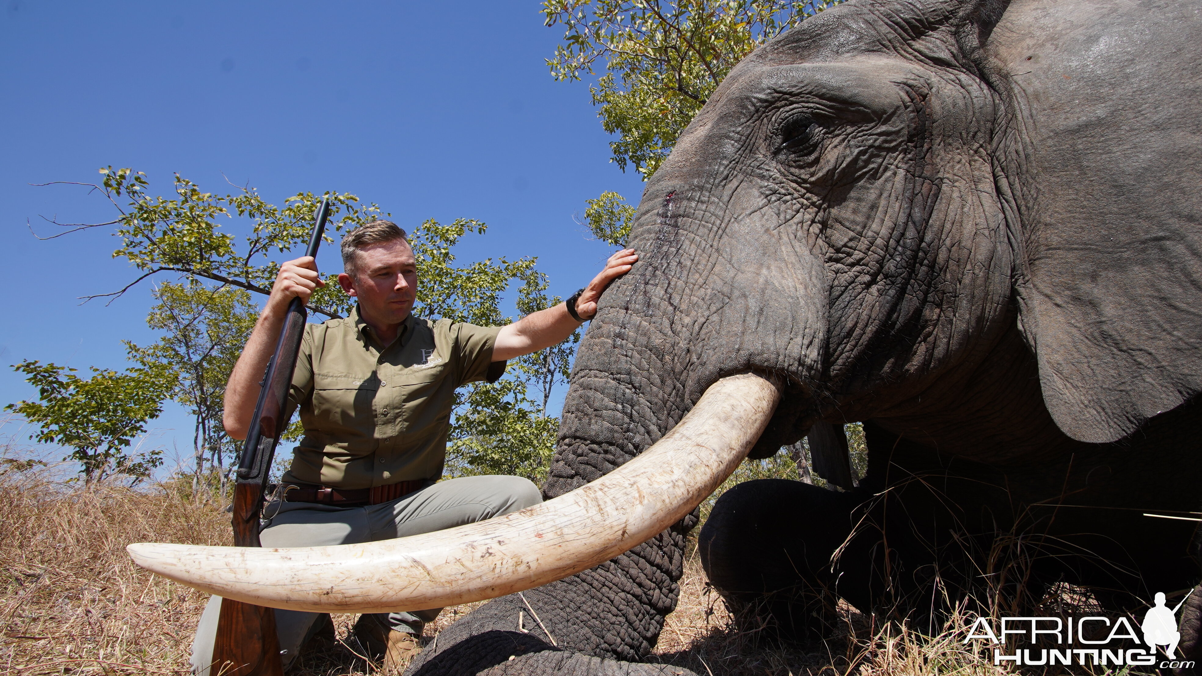 Elephant Hunt Zimbabwe