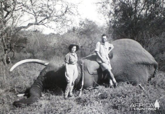 Elephant Hunting in Africa