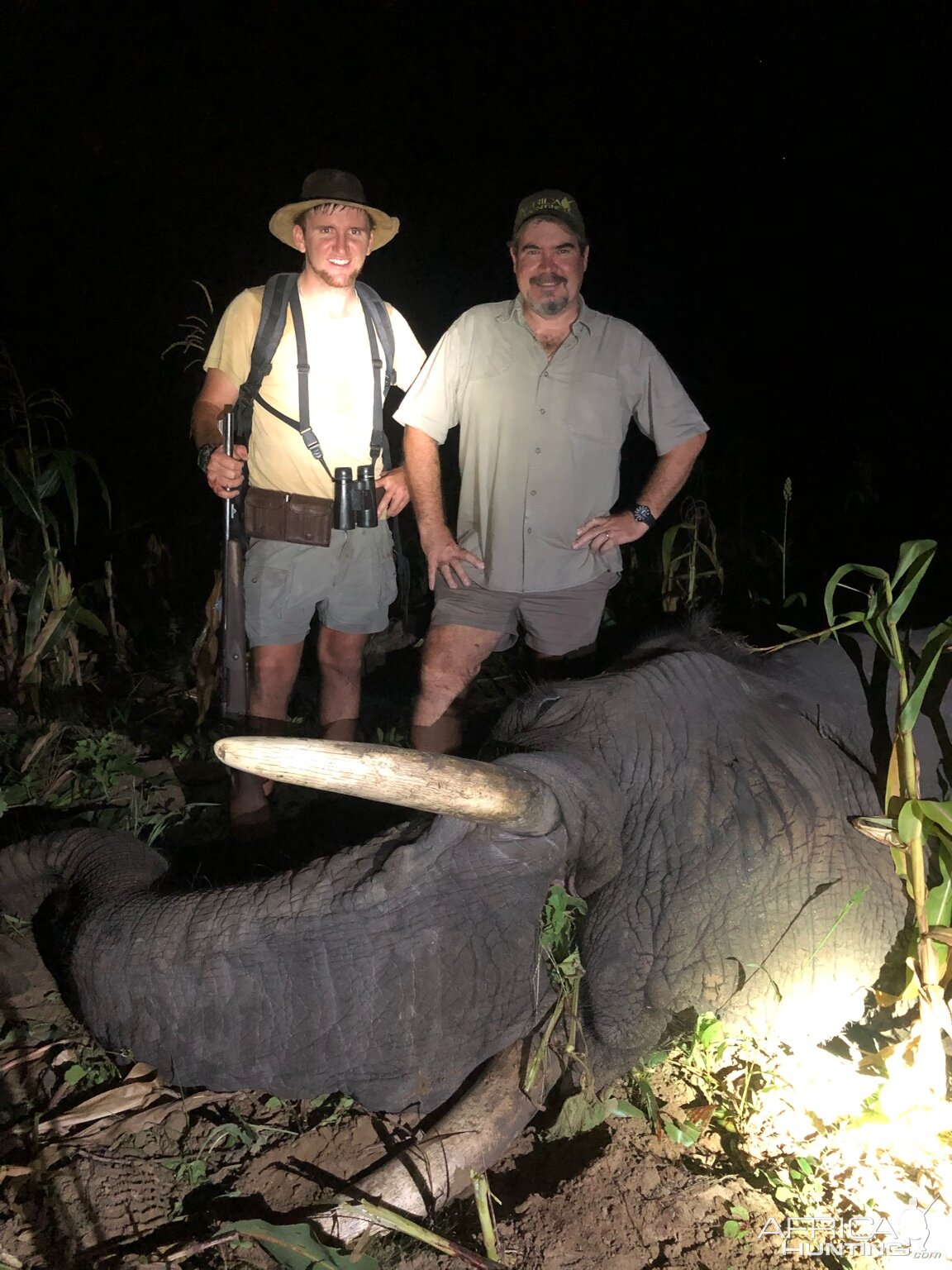 Elephant Hunting in Zimbabwe