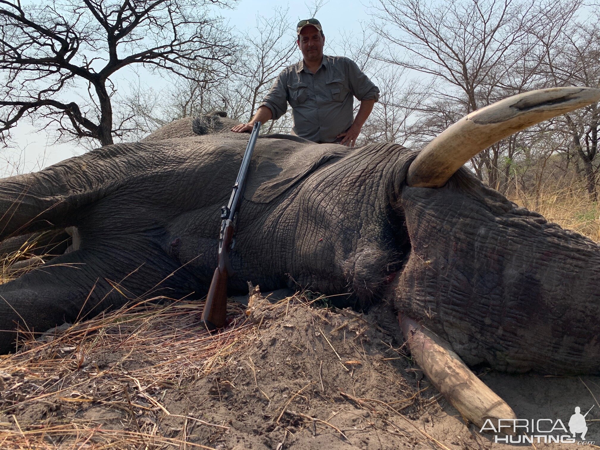 Elephant Hunting Namibia