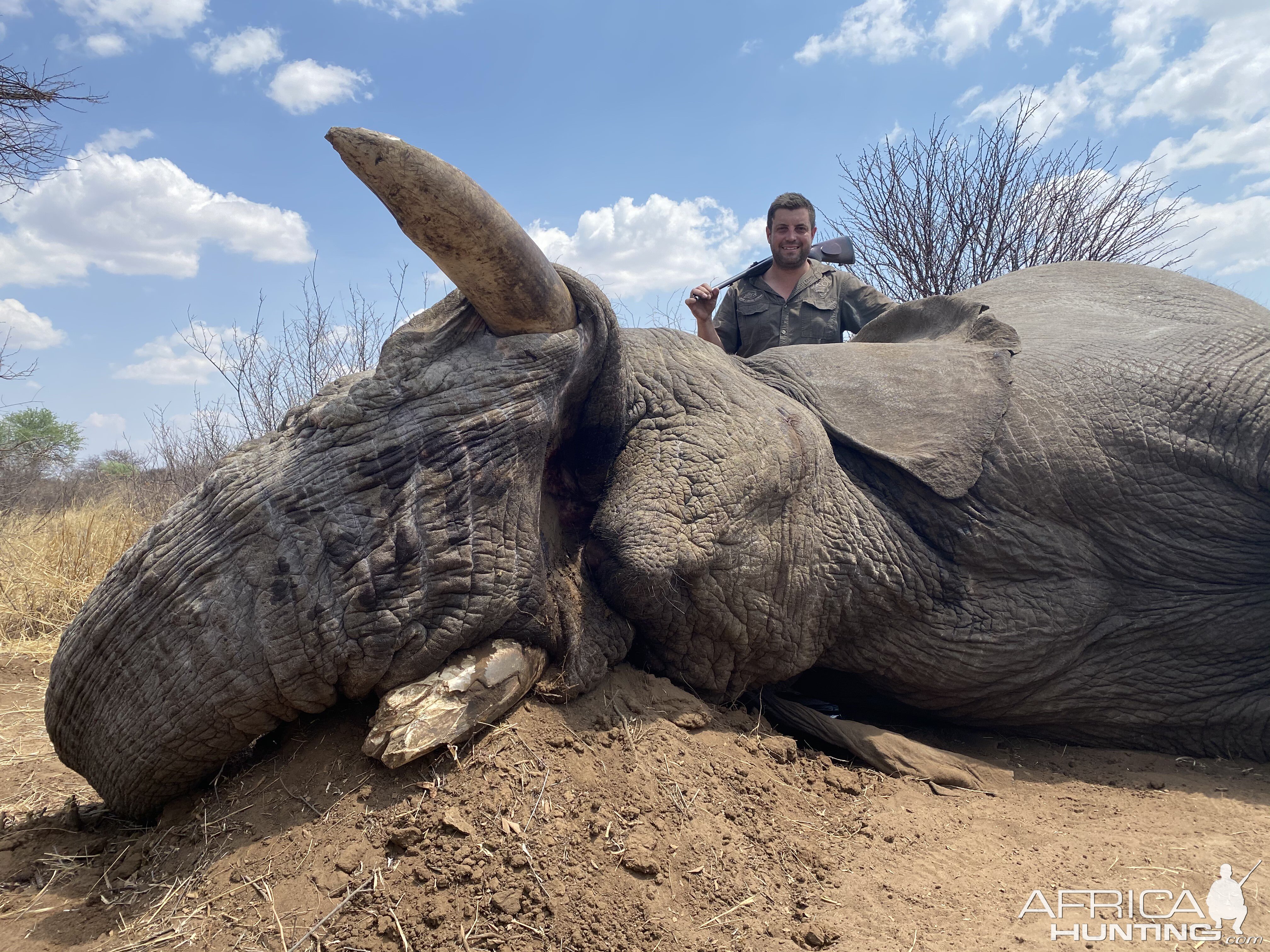 Elephant Hunting Namibia