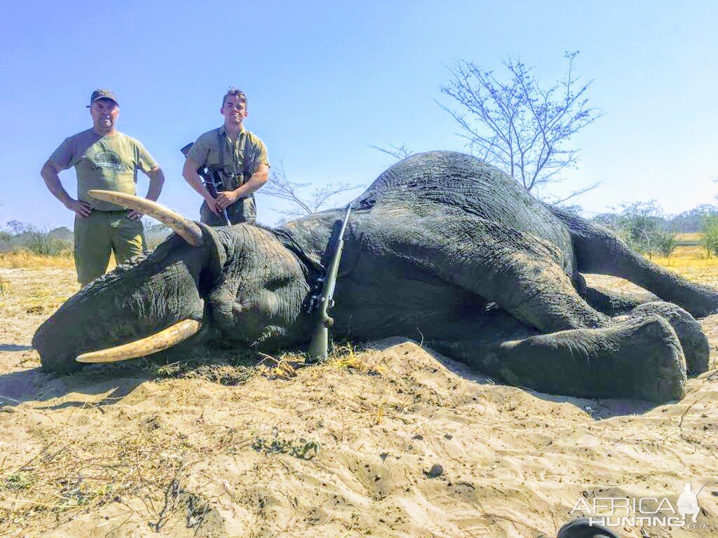 Elephant Hunting Namibia