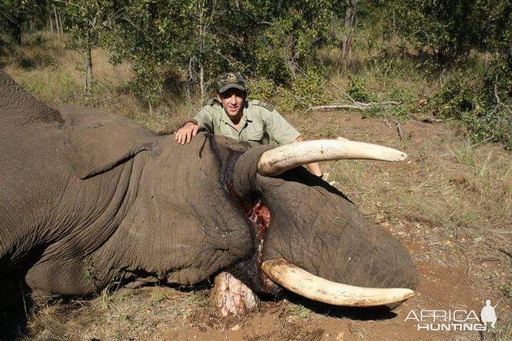 Elephant Hunting South Africa