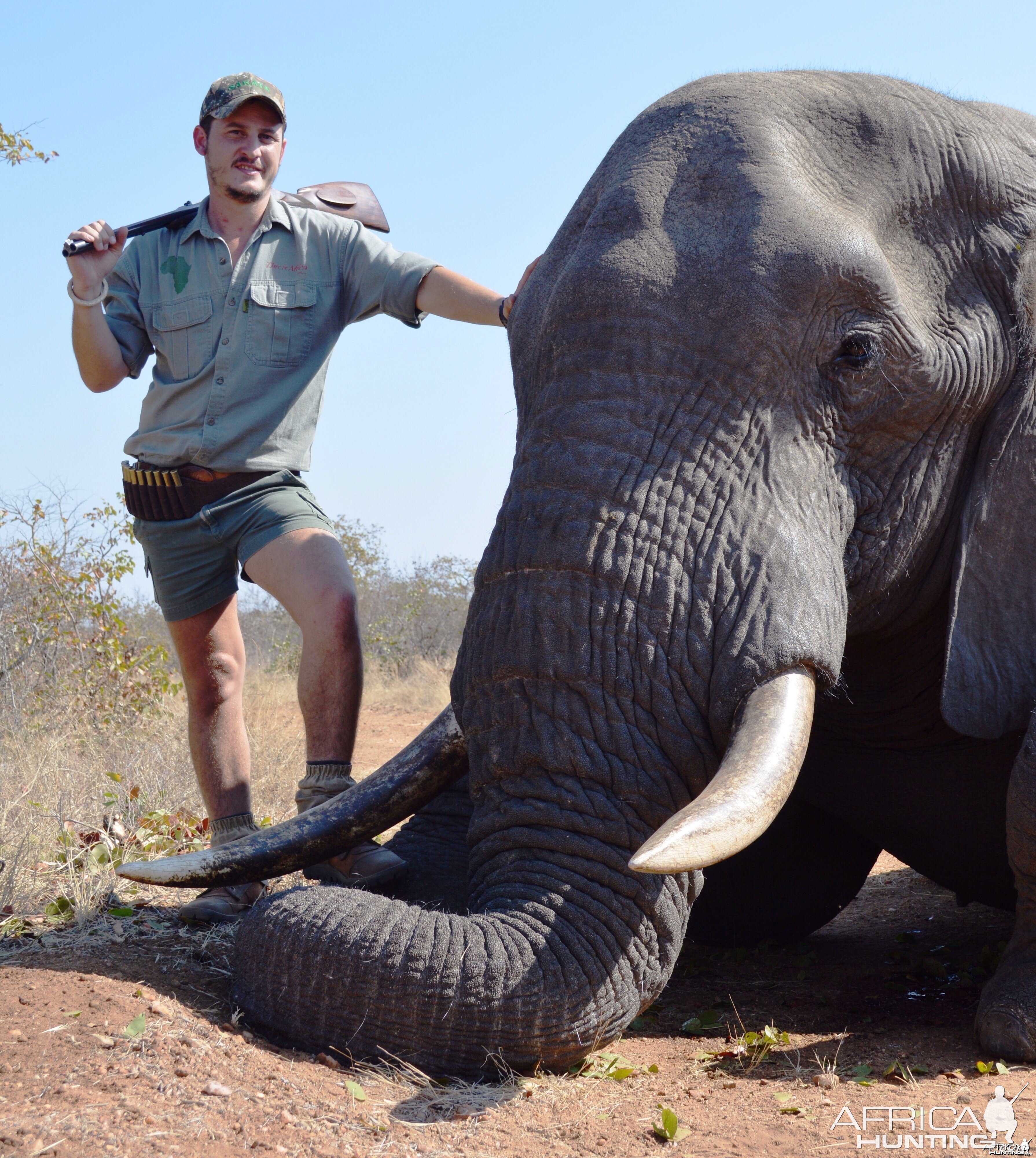 Elephant hunting South-Africa
