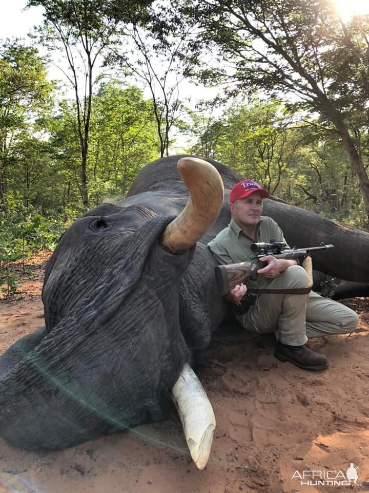 Elephant Hunting Zimbabwe