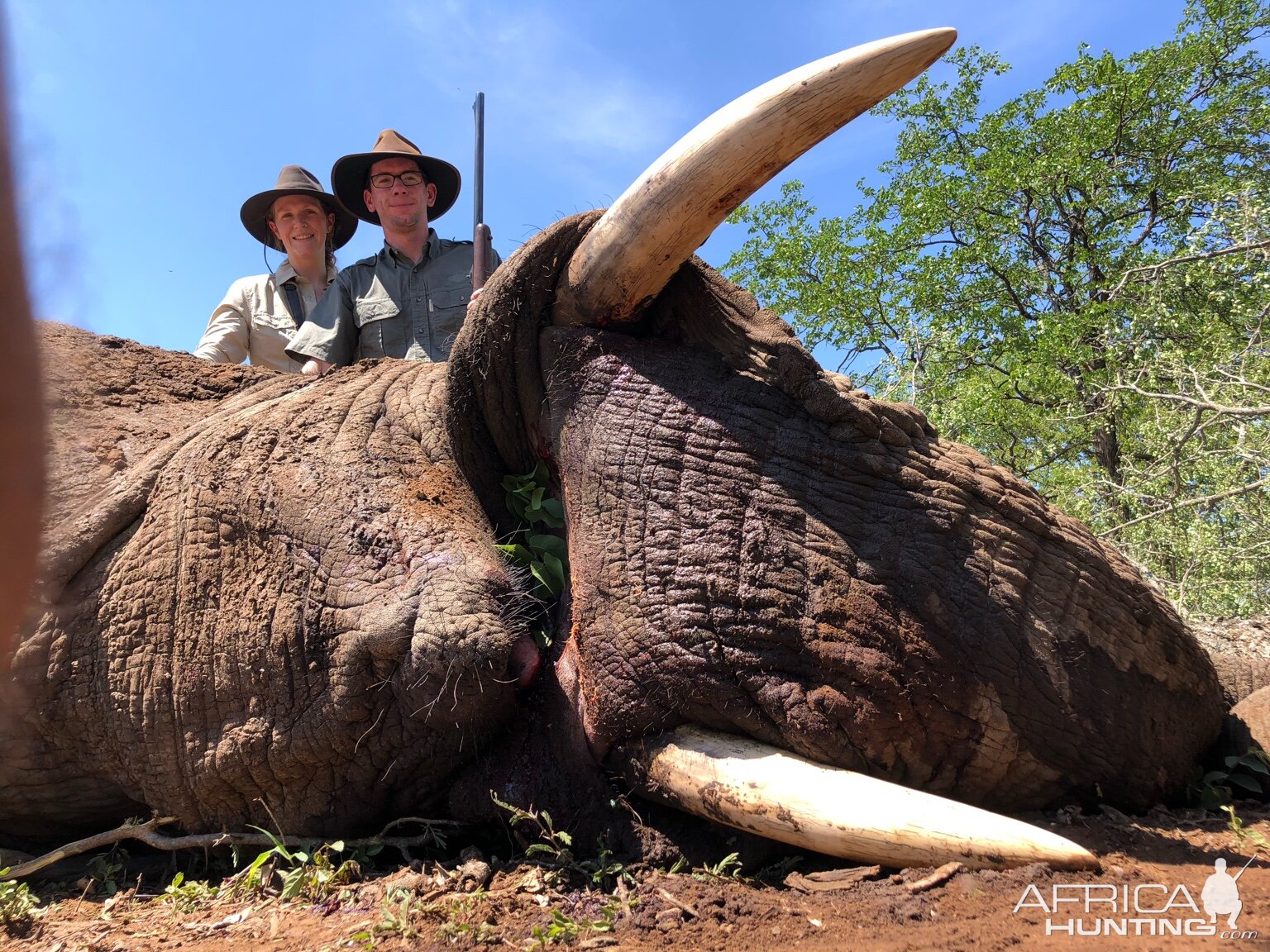 Elephant Hunting Zimbabwe