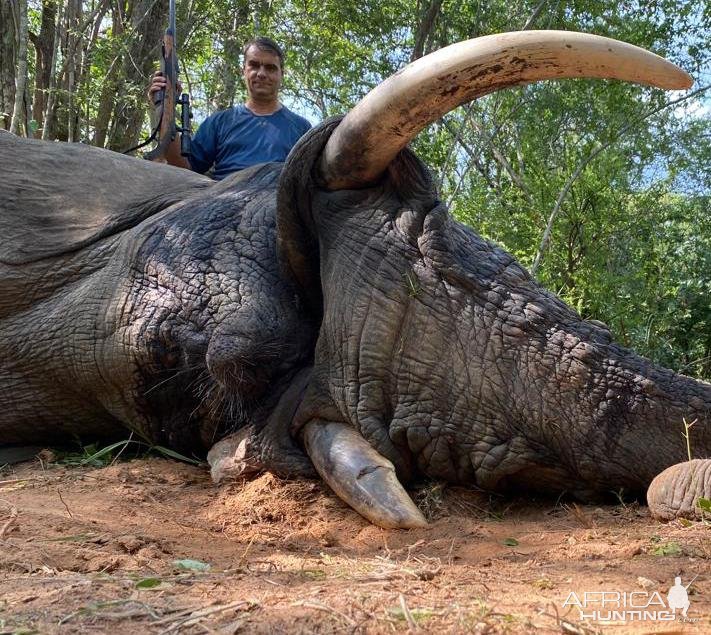 Elephant Hunting Zimbabwe