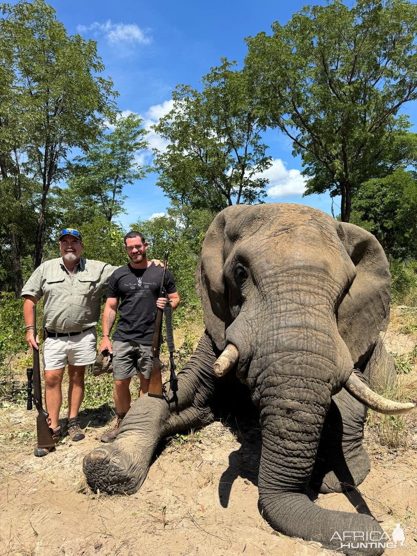 Elephant Hunting Zimbabwe