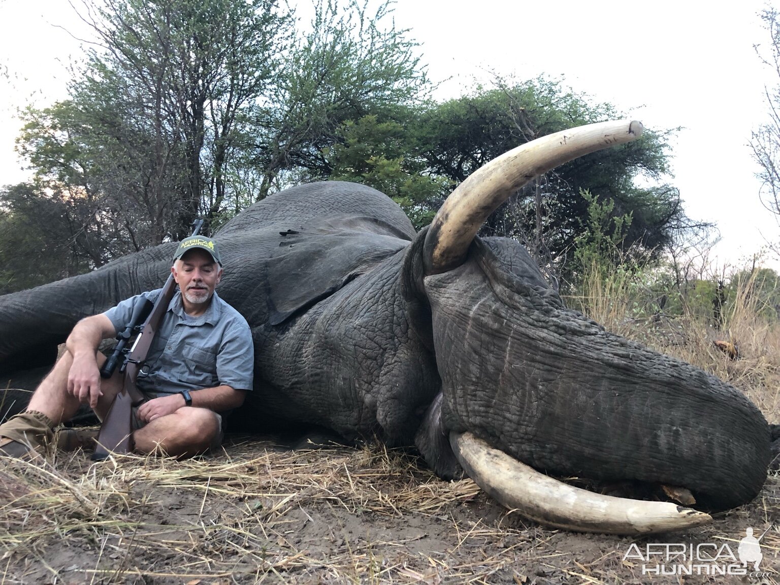 Elephant Hunting Zimbabwe