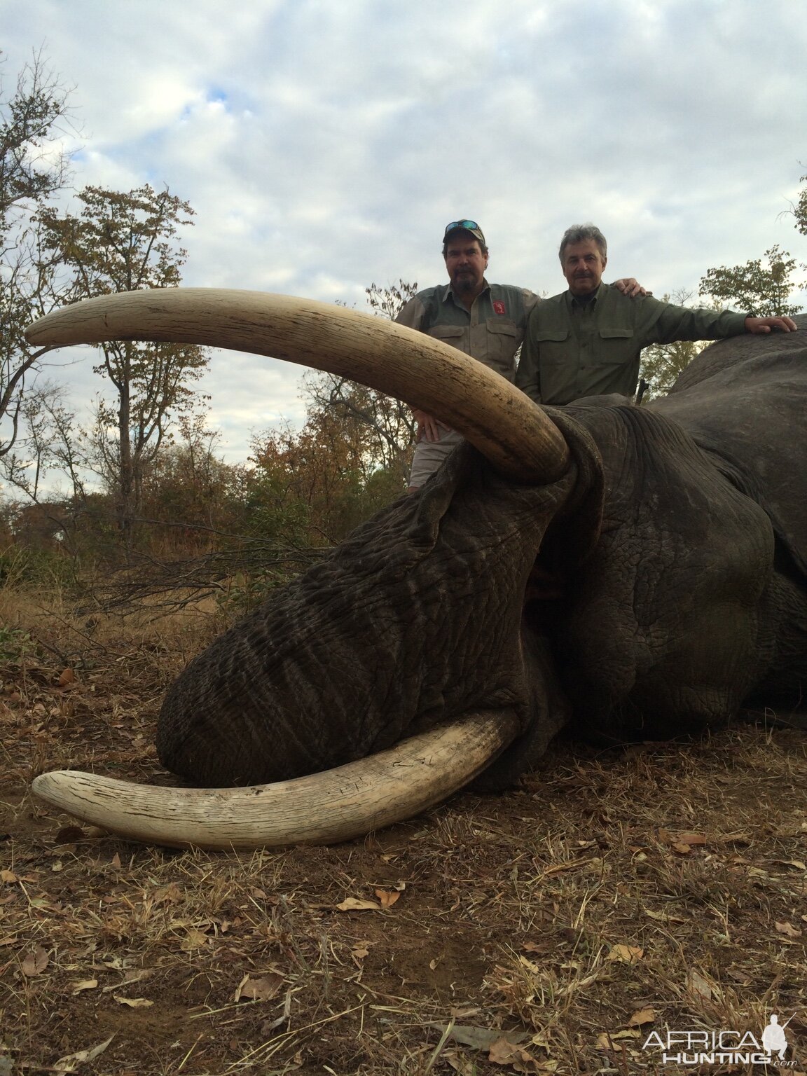 Elephant Hunting Zimbabwe