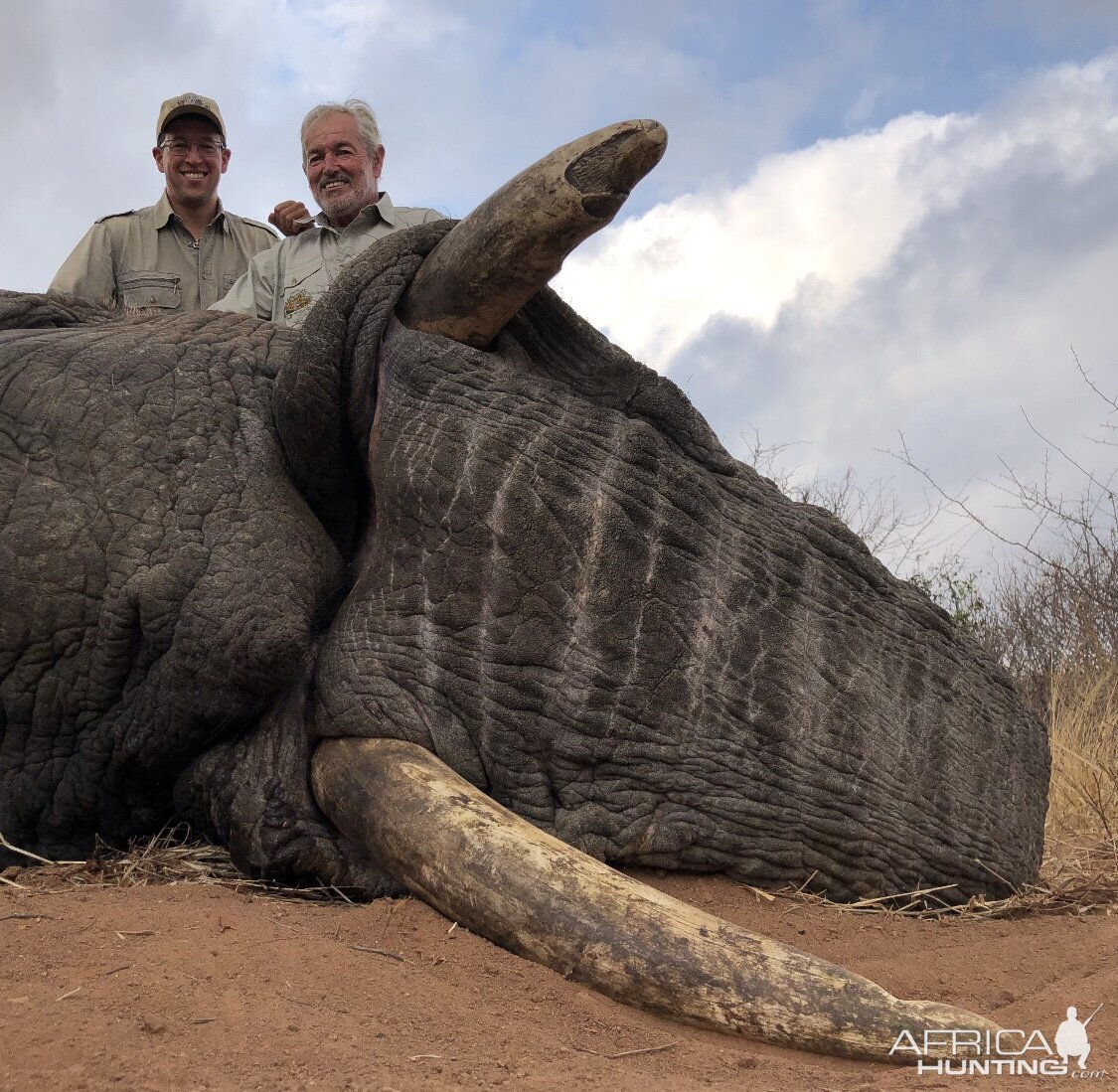 Elephant Hunting Zimbabwe