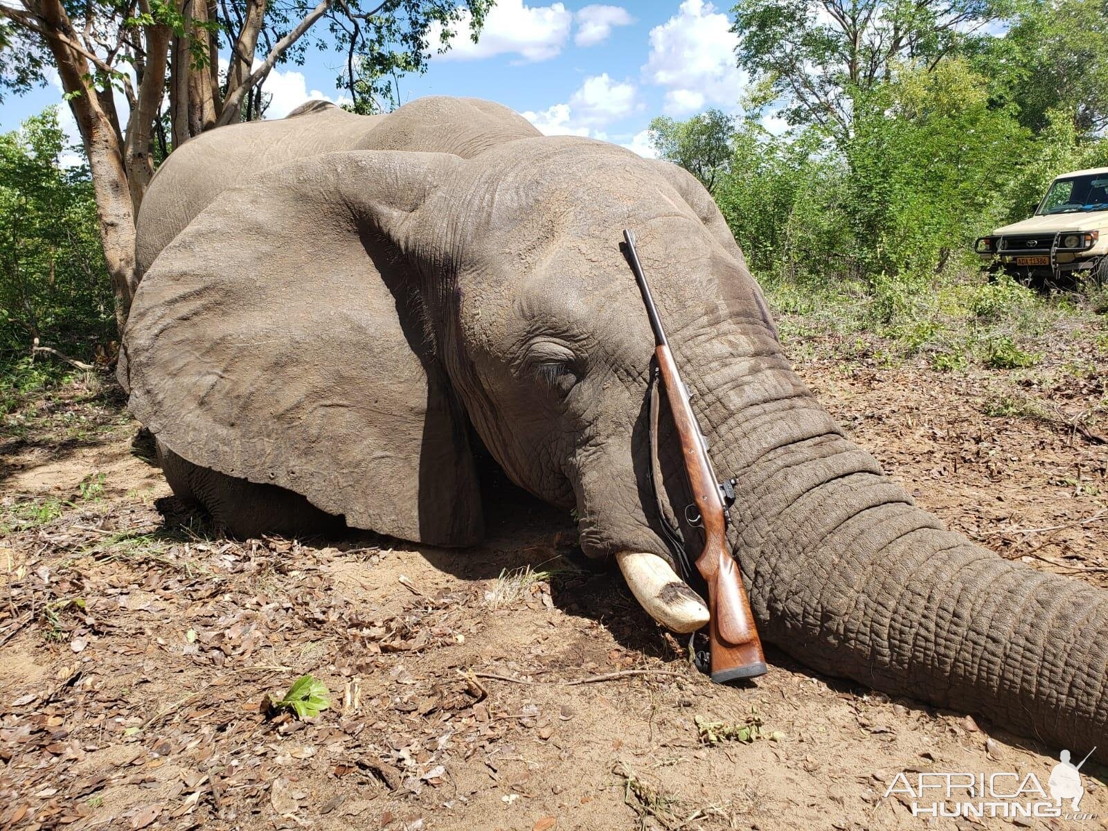 Elephant Hunting Zimbabwe