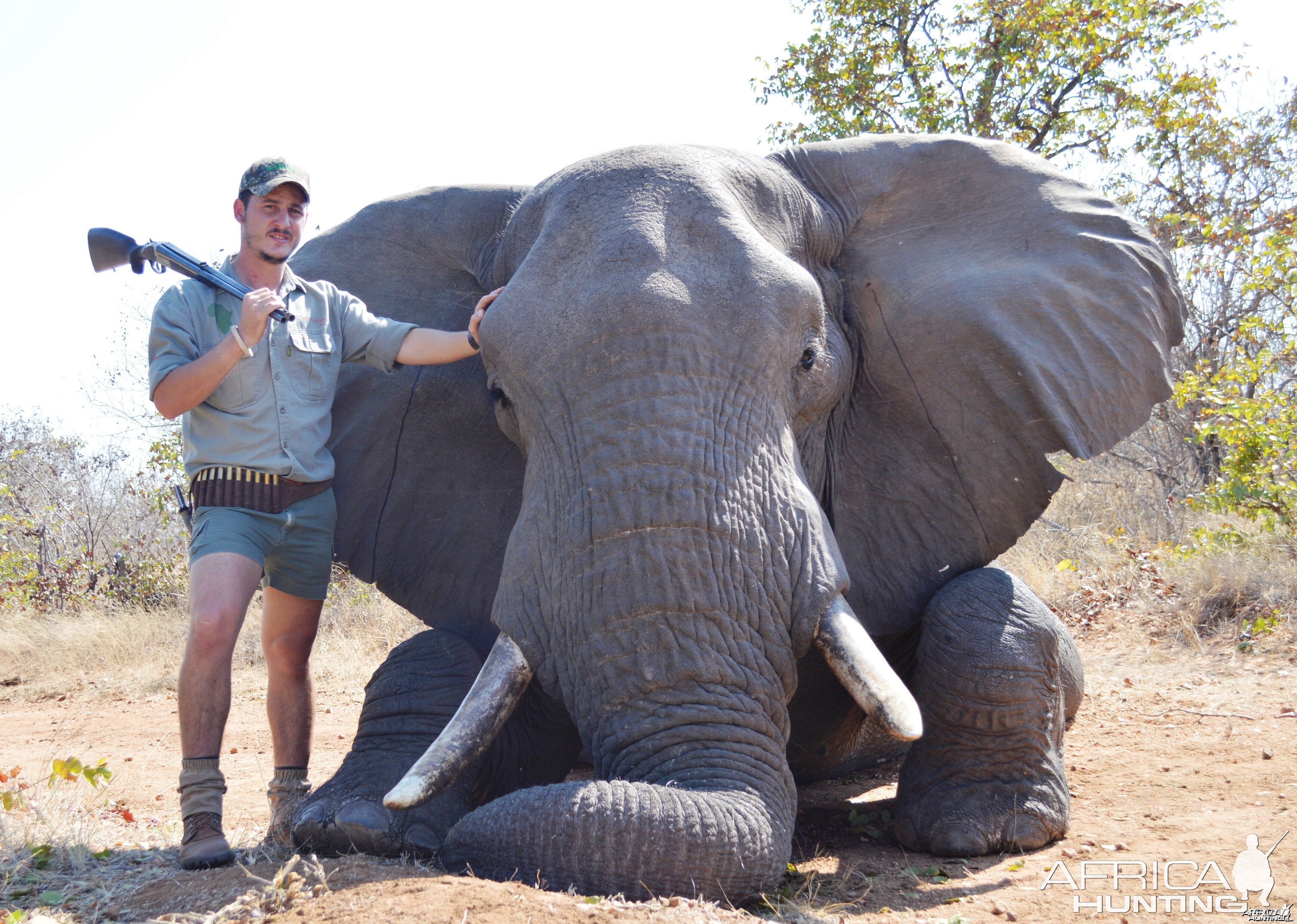 safari hunts in africa