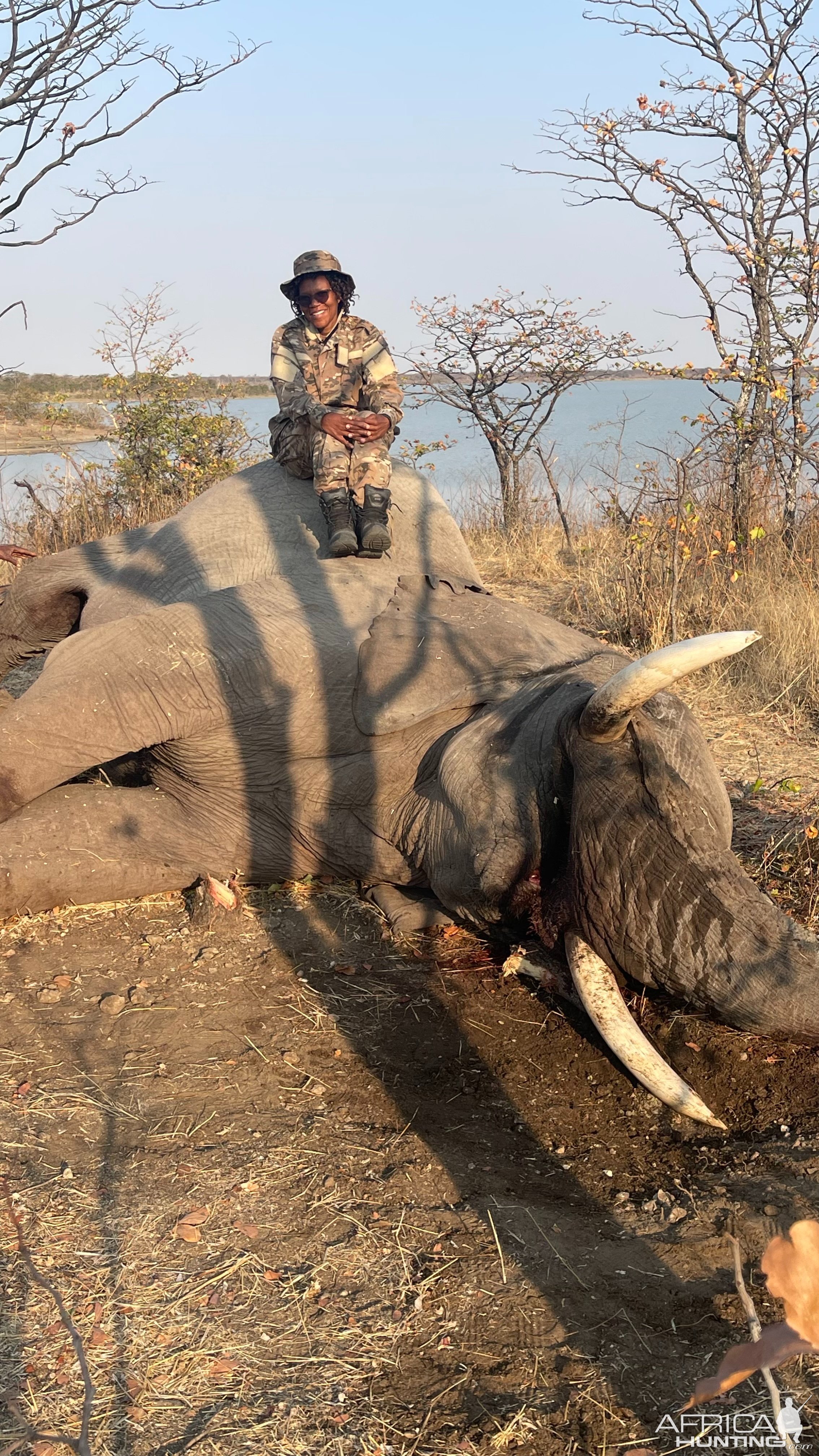 Elephant Managing Hunt Botswana