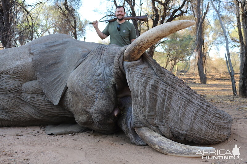 Elephant NAMIBIA