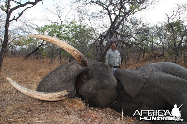 Elephant Niassa Reserve Block R3