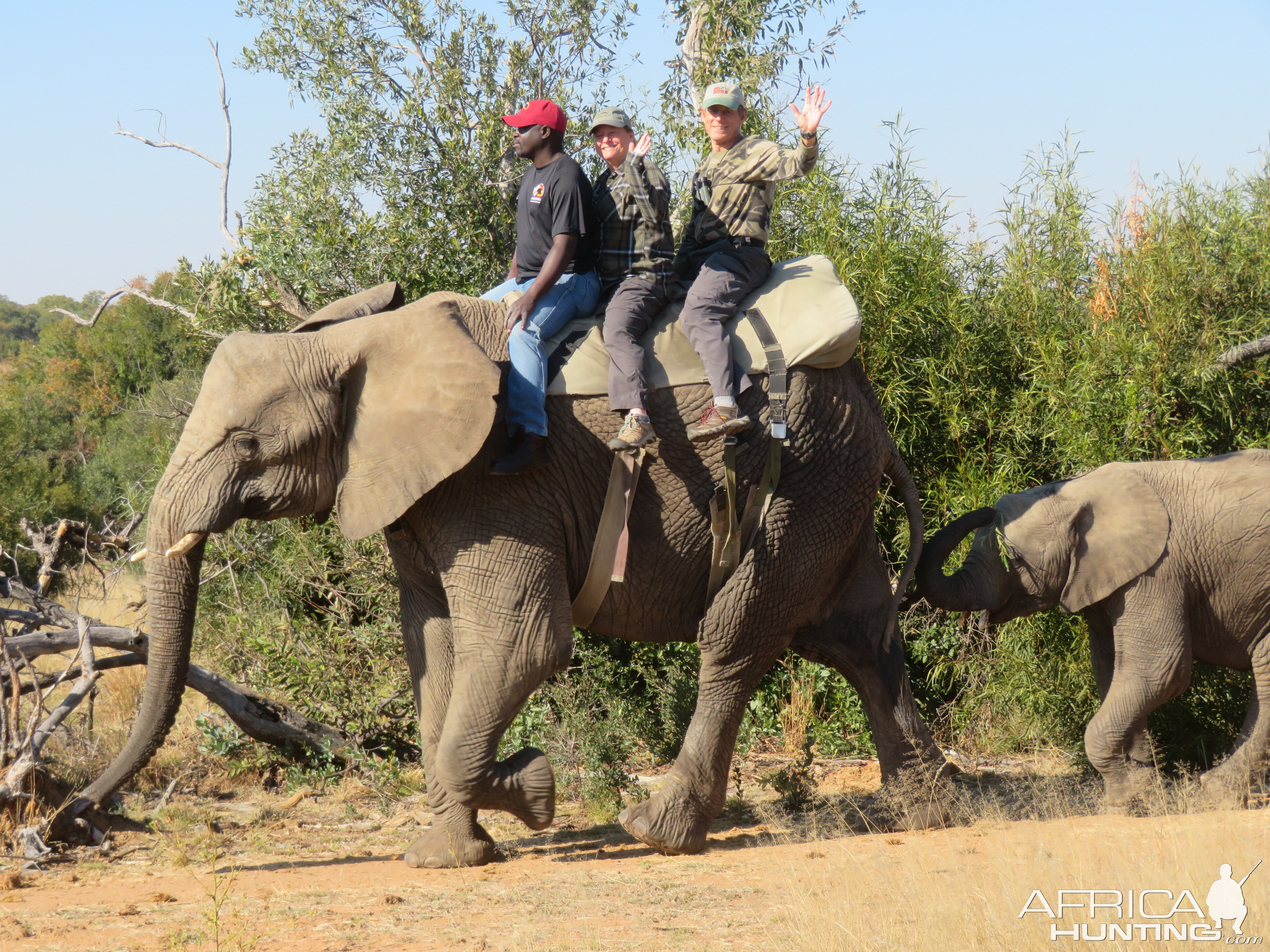 Elephant Park Experience