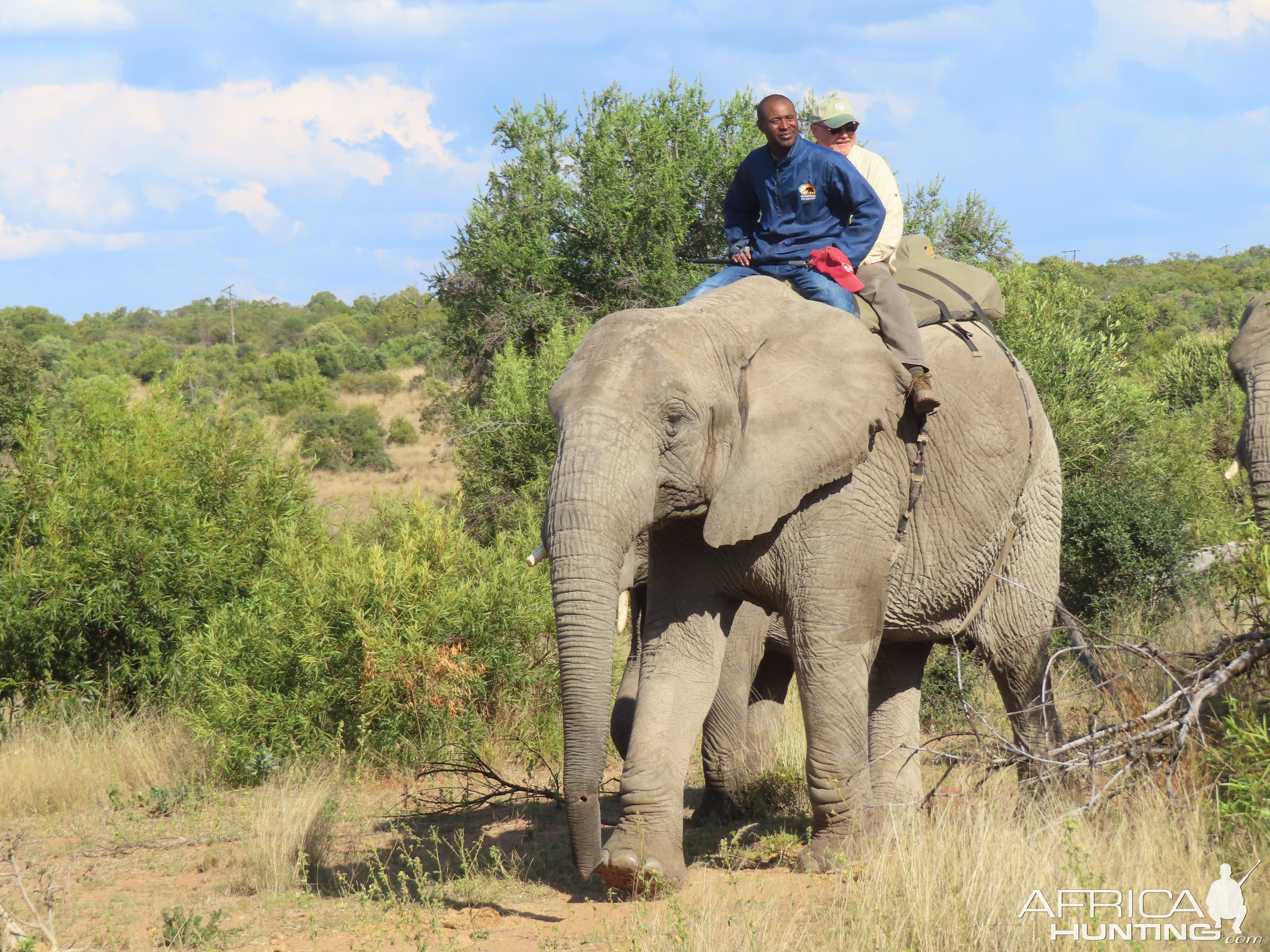 Elephant Rides Limpopo South Africa
