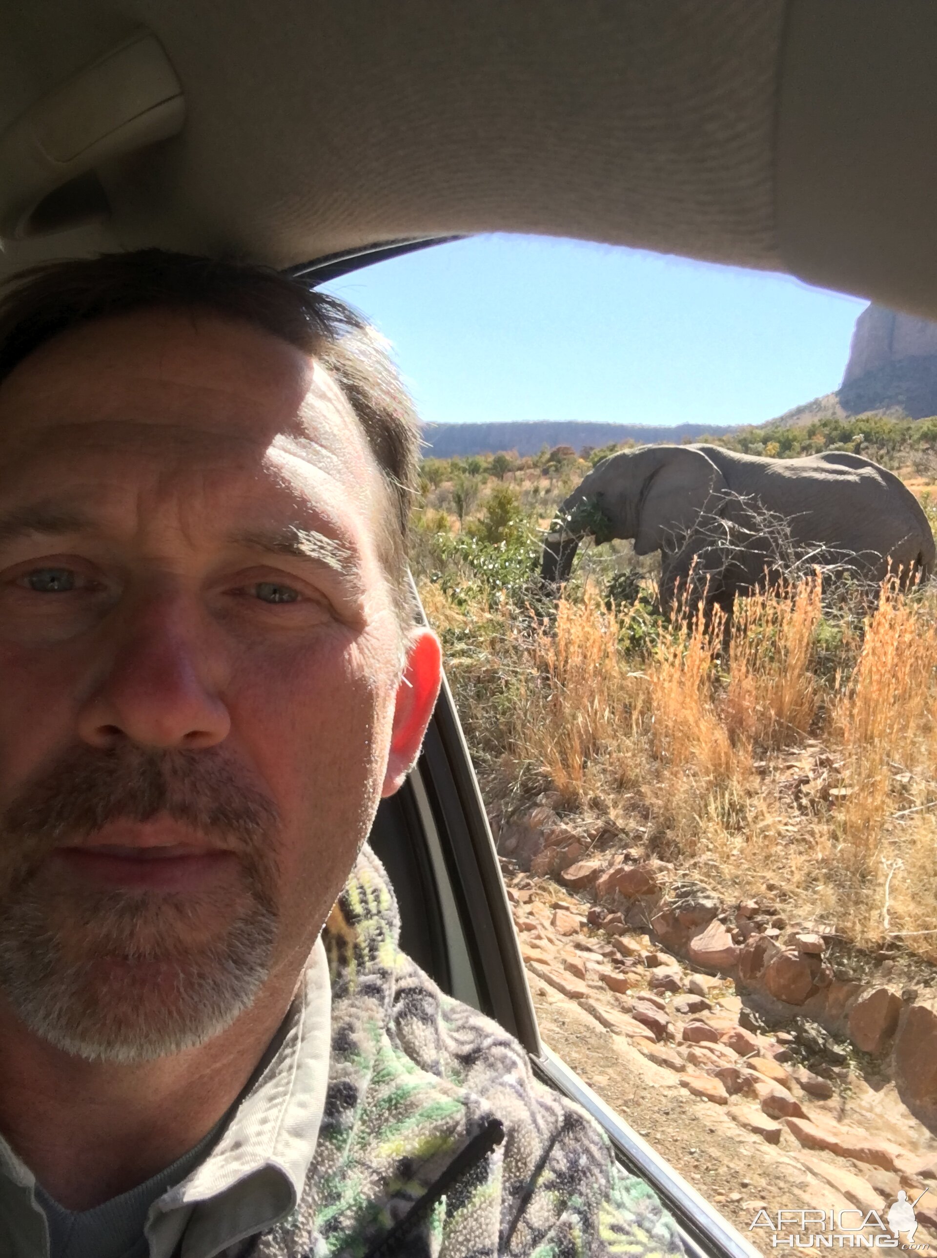 Elephant Selfie South Africa