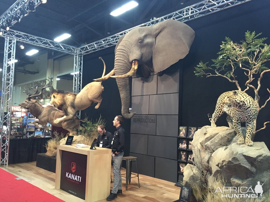 Elephant taxidermy mount