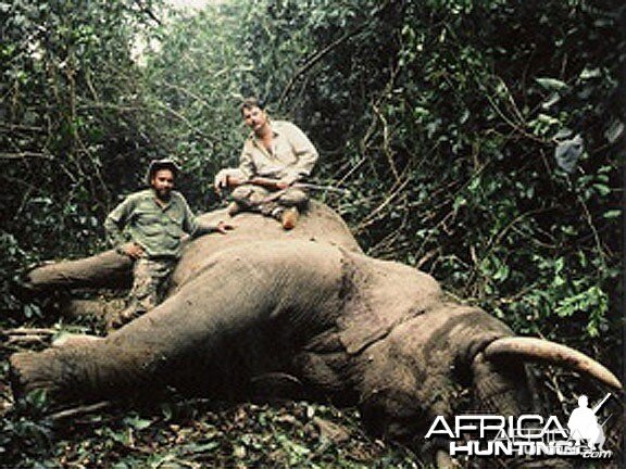 Elephant that tried to eat us... Ethiopia