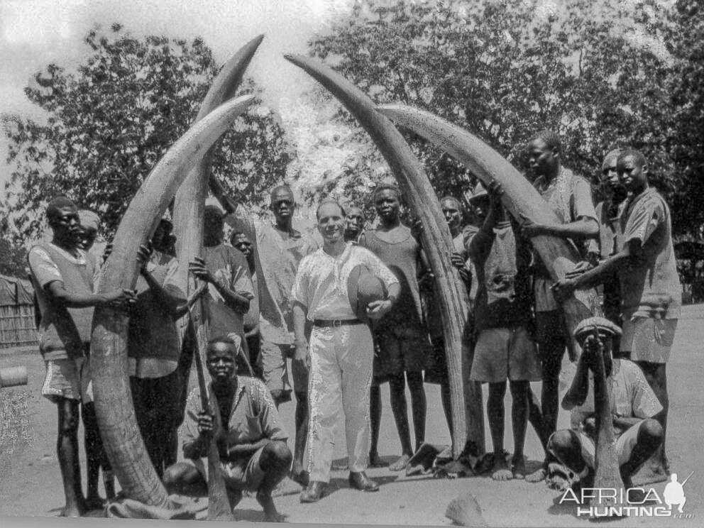 Elephant Tusks & Rhino Horns