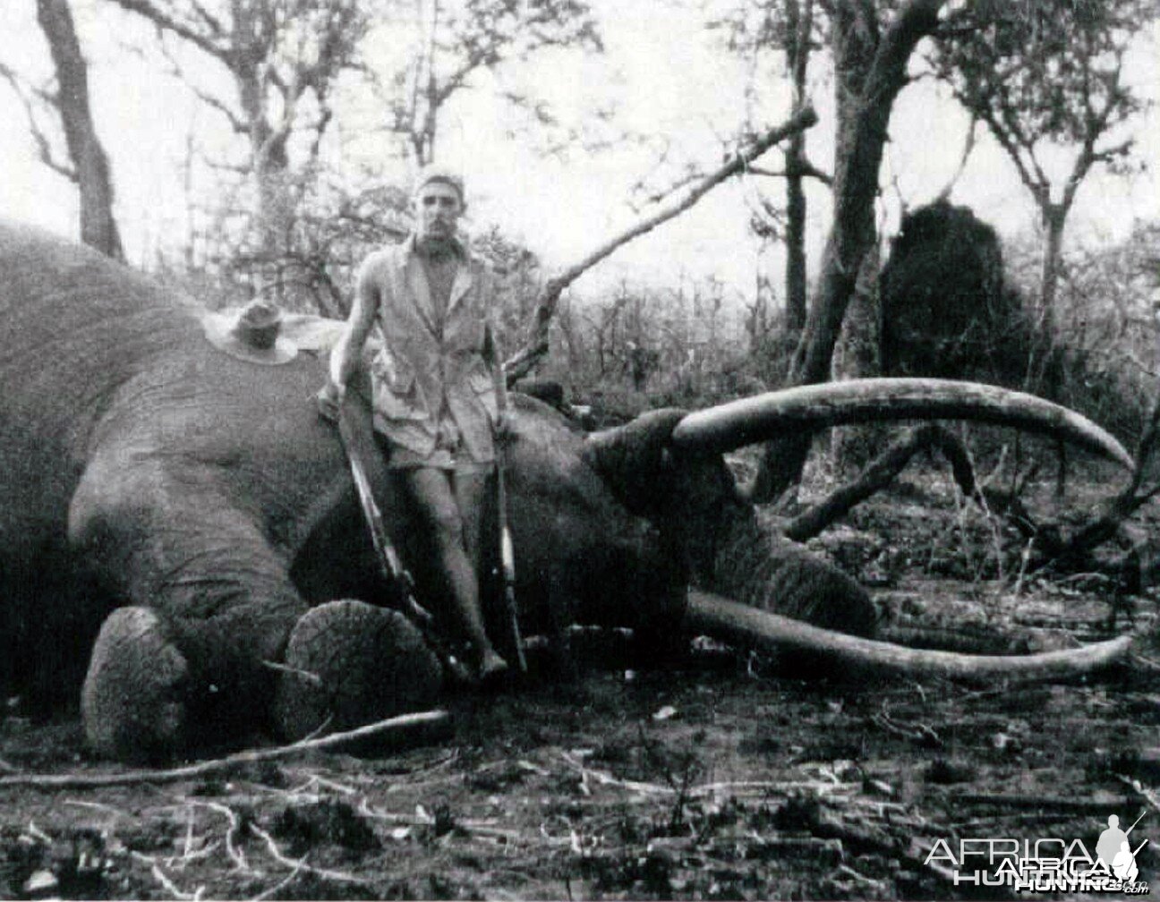 Elephant with Brian Nicholson (1931 - 2010)