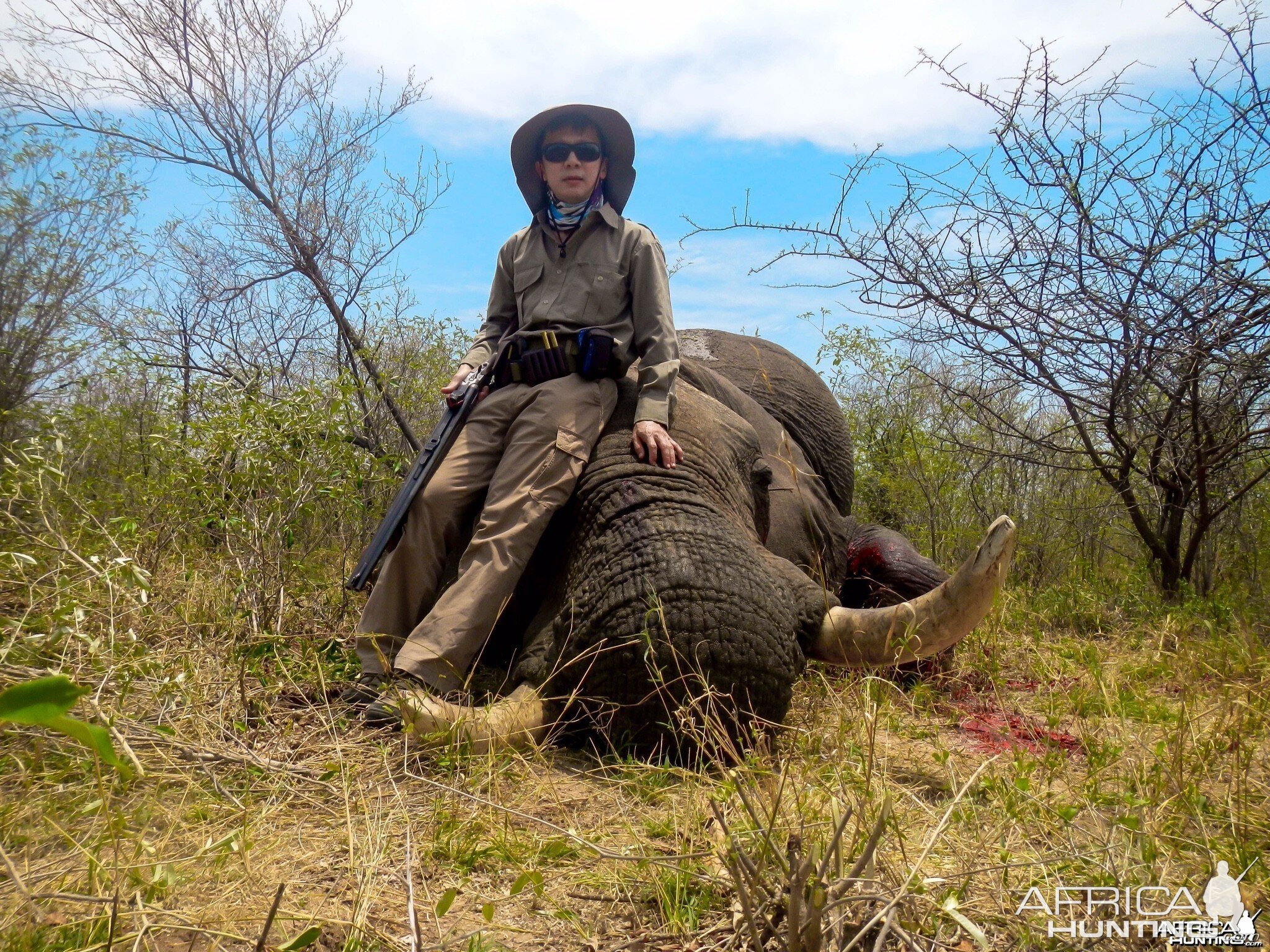 Elephant Zimbabwe, November 2014 | AfricaHunting.com