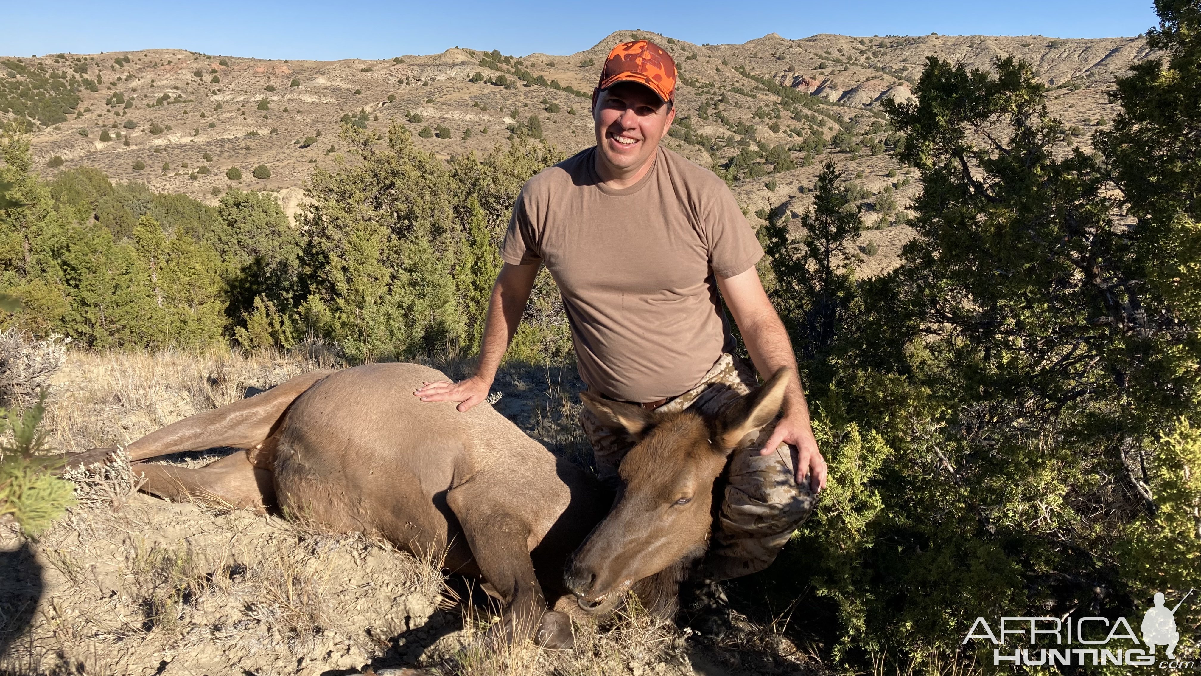 Elk Cow Hunt Wyoming