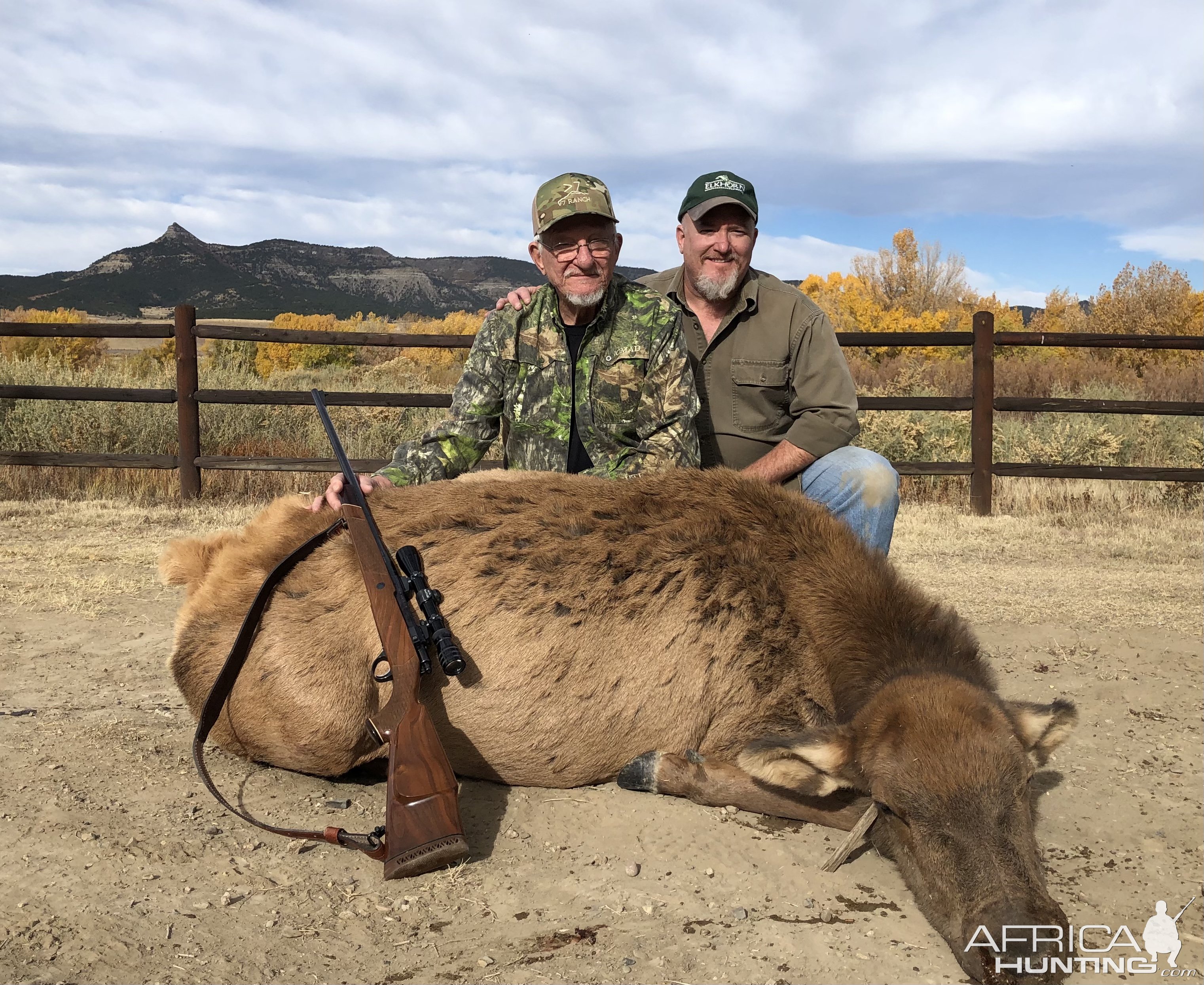 Elk Cow Hunting Raton New Mexico