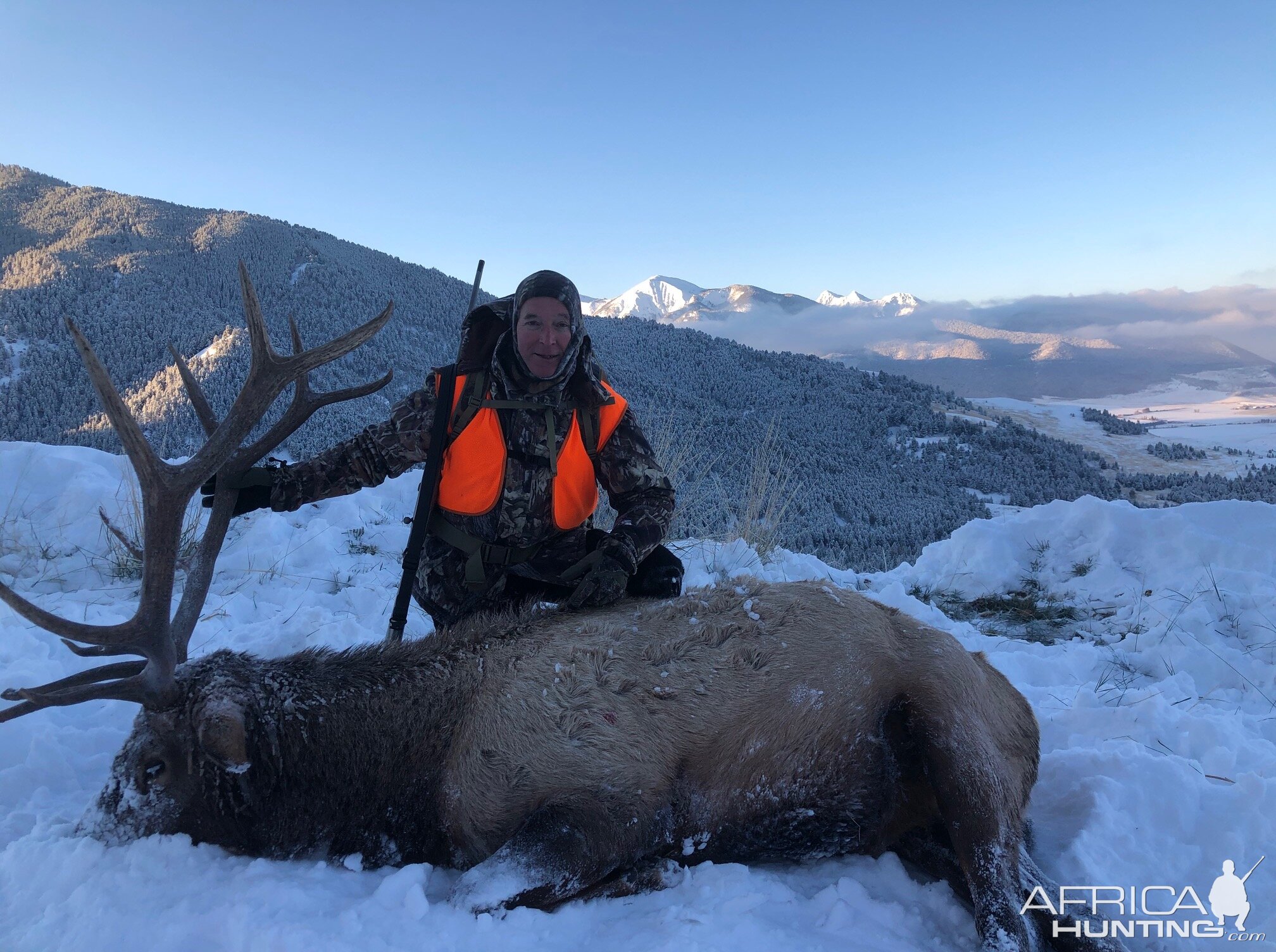 Elk Hunt Montana USA