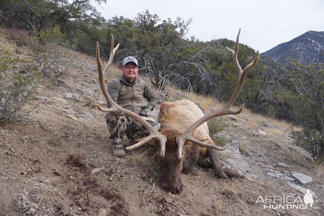 Elk Hunting Nevada