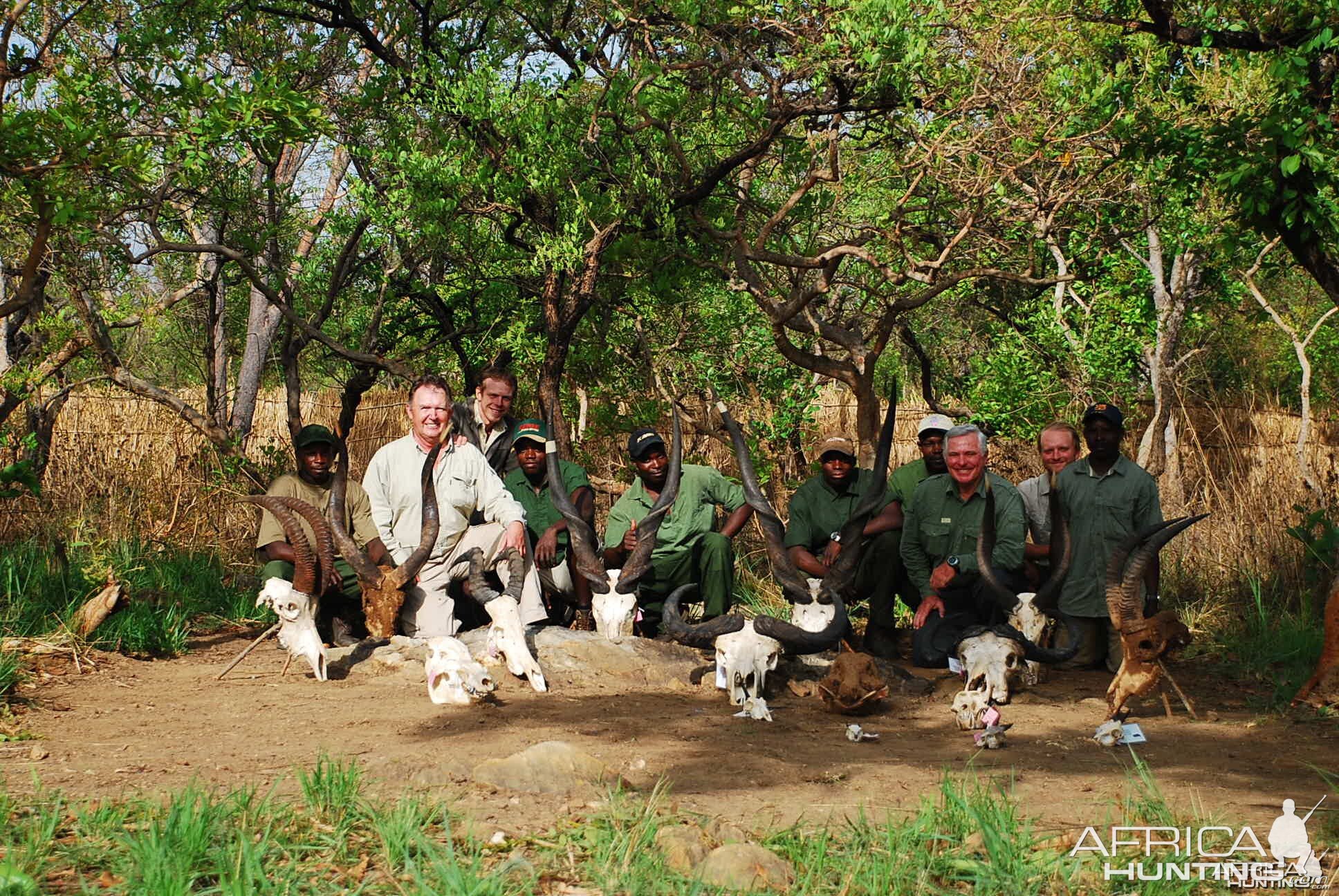 End of safari in CAR