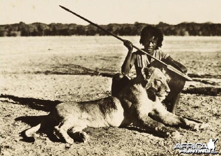 Eritrean warrior with speared young male Lion circa 1935