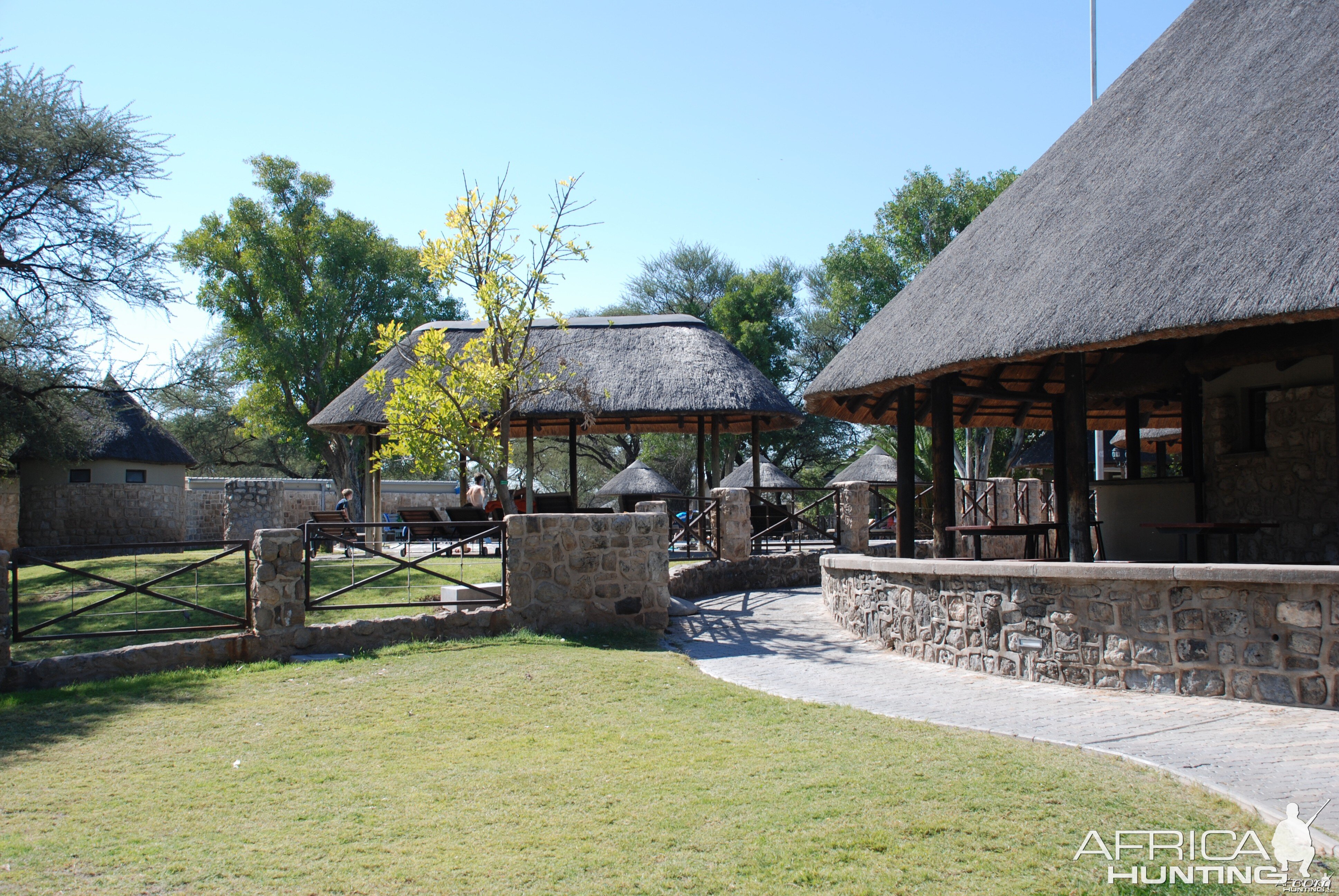 Etosha Namibia