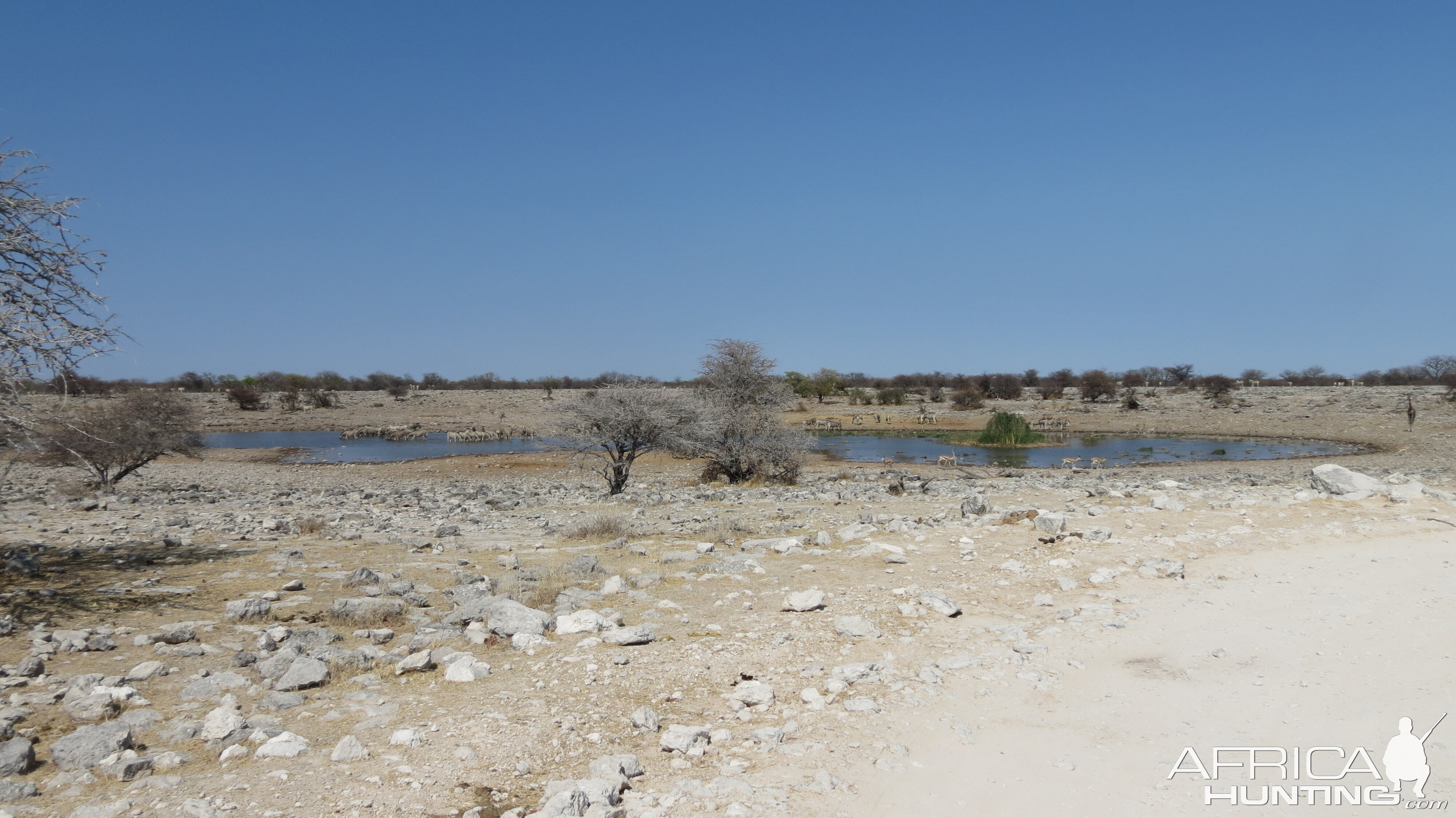 Etosha National Park