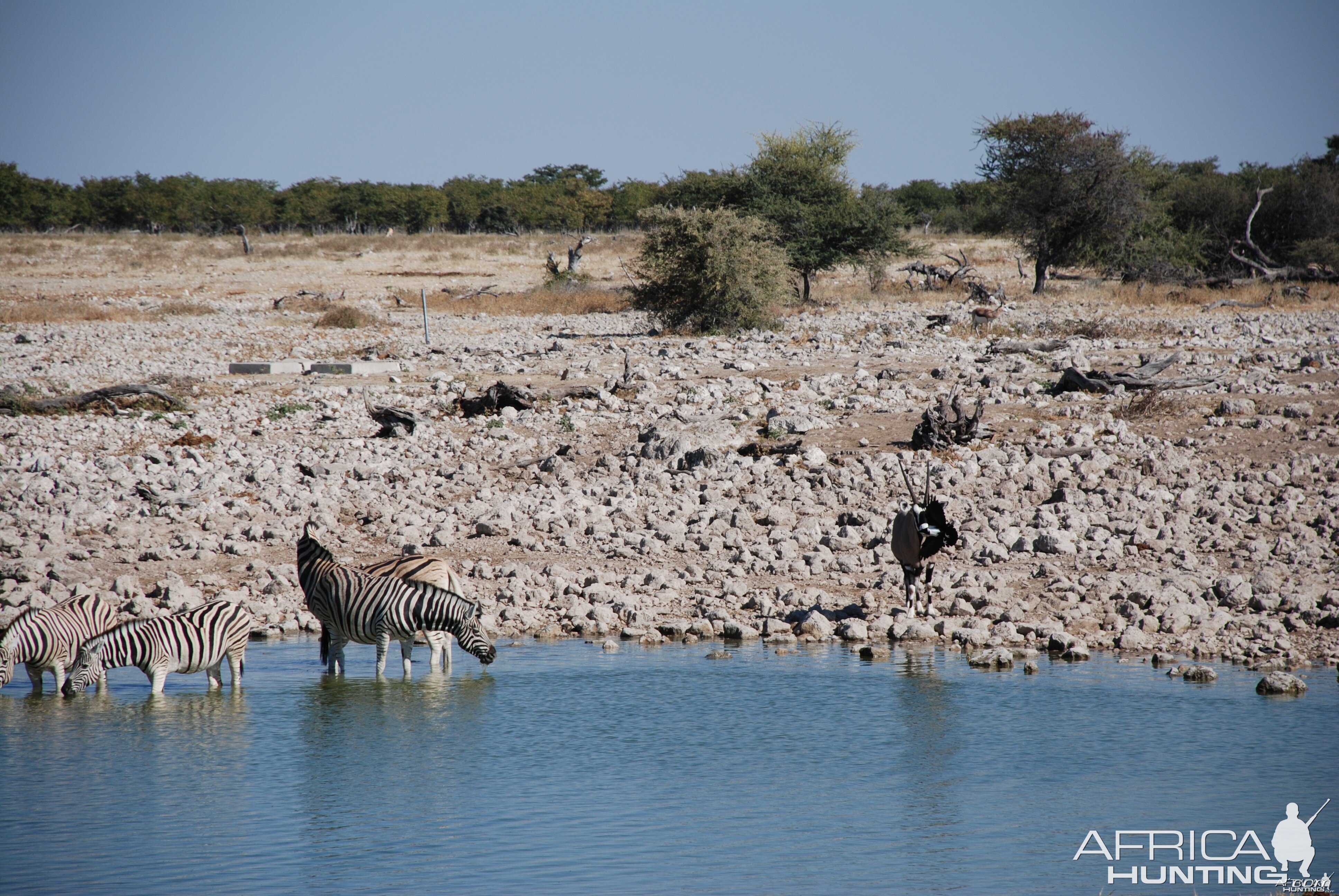 Etosha