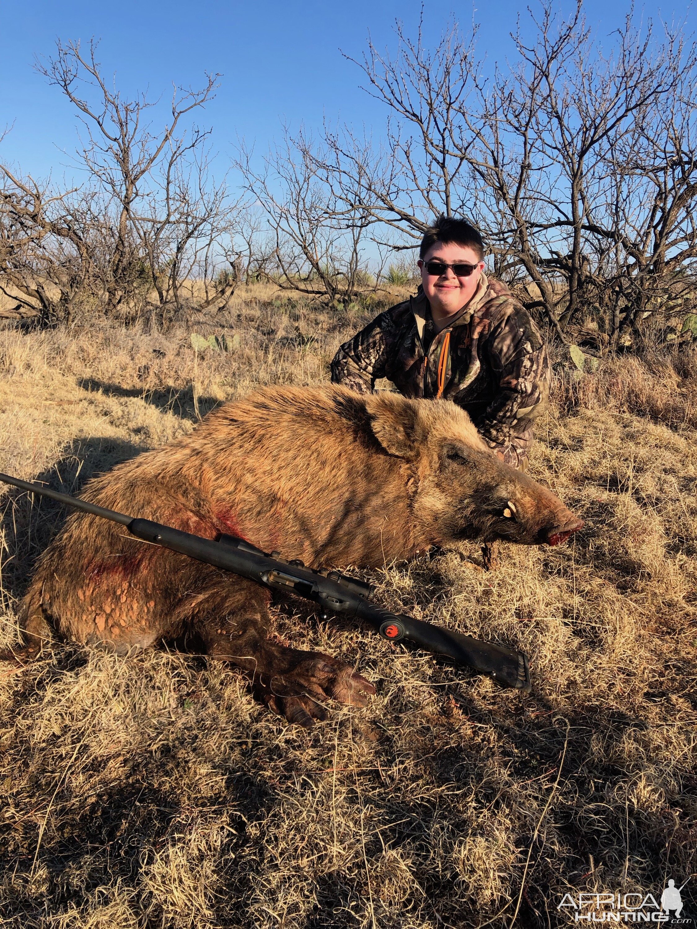 Eurasian Boar Hunting Texas USA